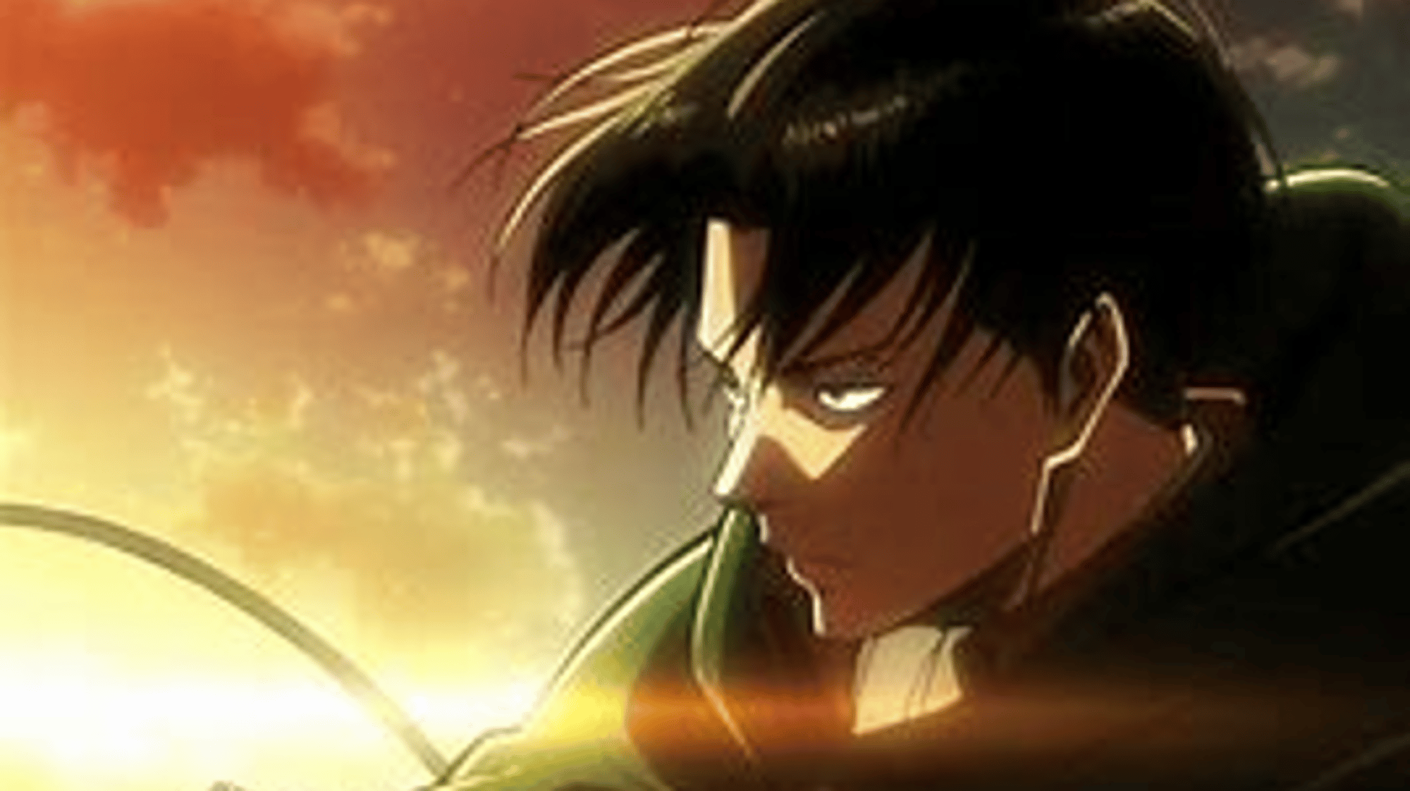 Levi