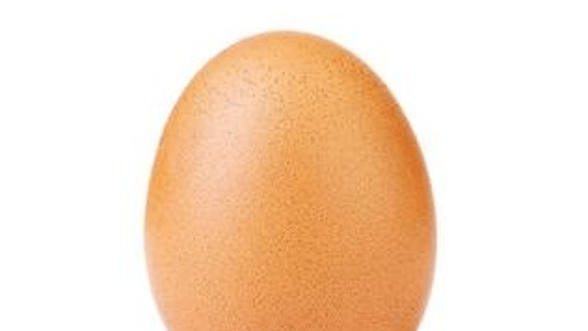 Egg