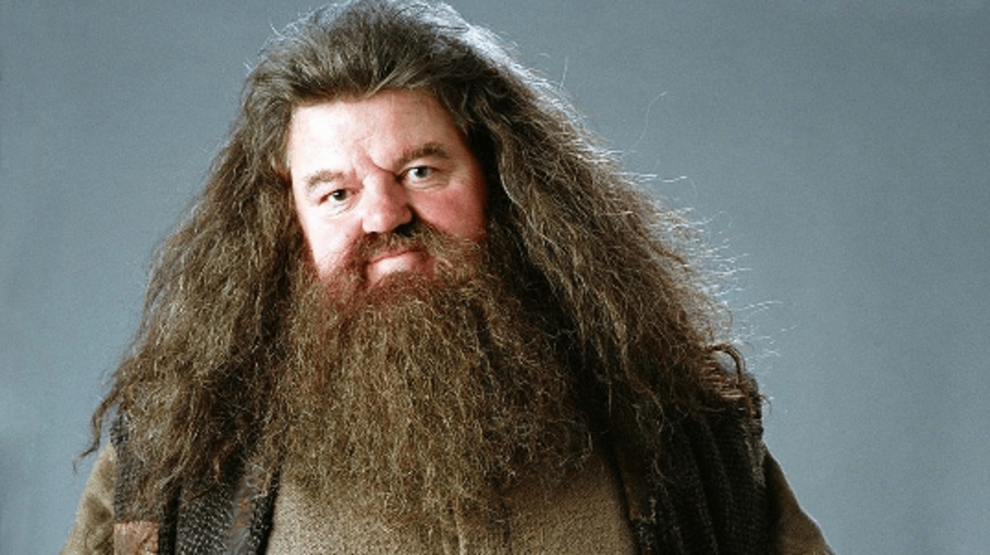 Hagrid (Harry Potter)