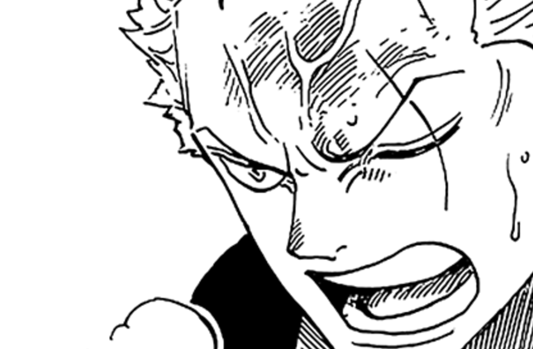 Zoro
