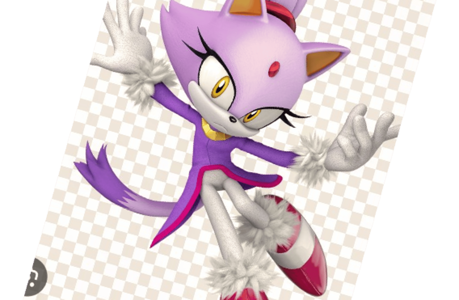 Blaze the cat