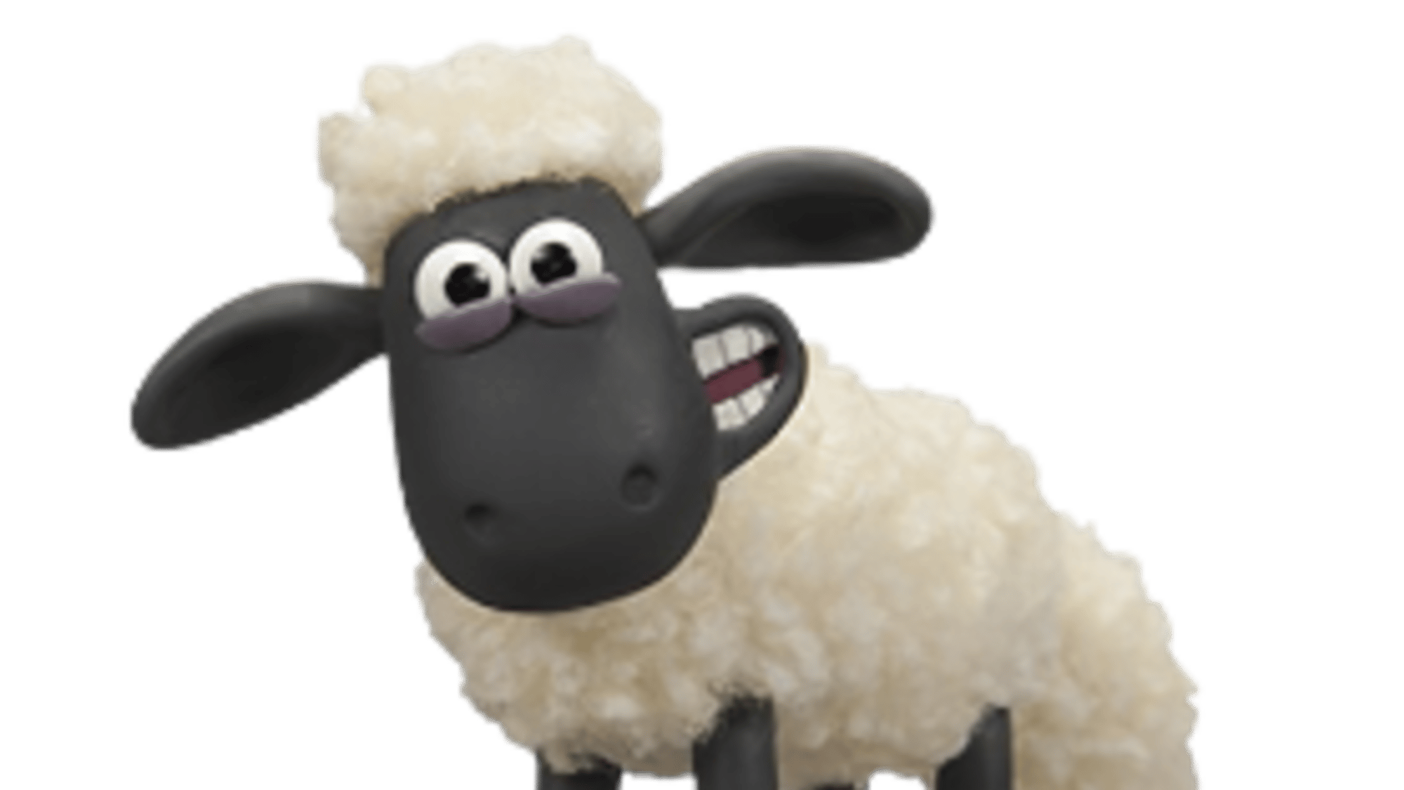 Shaun