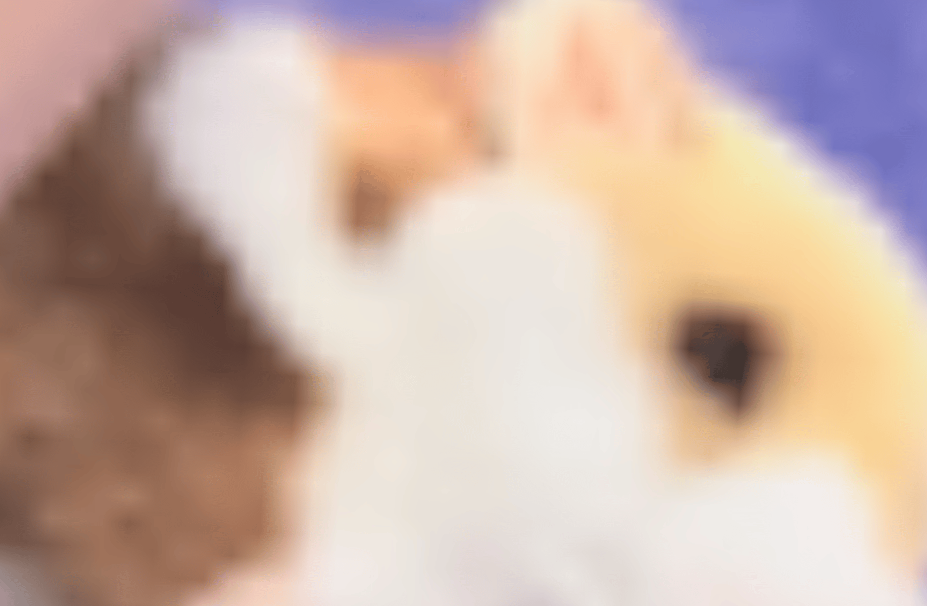 Han