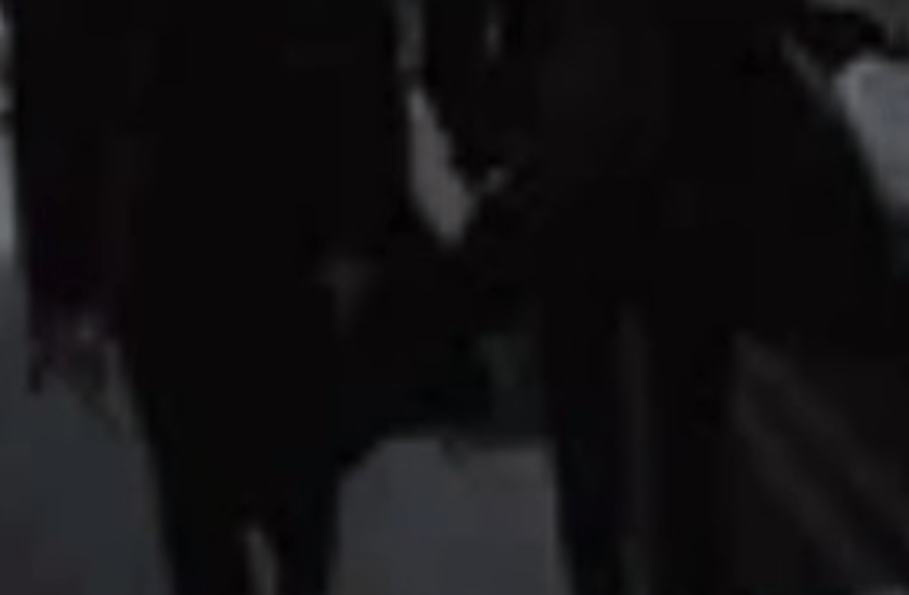 Two mafia husbands