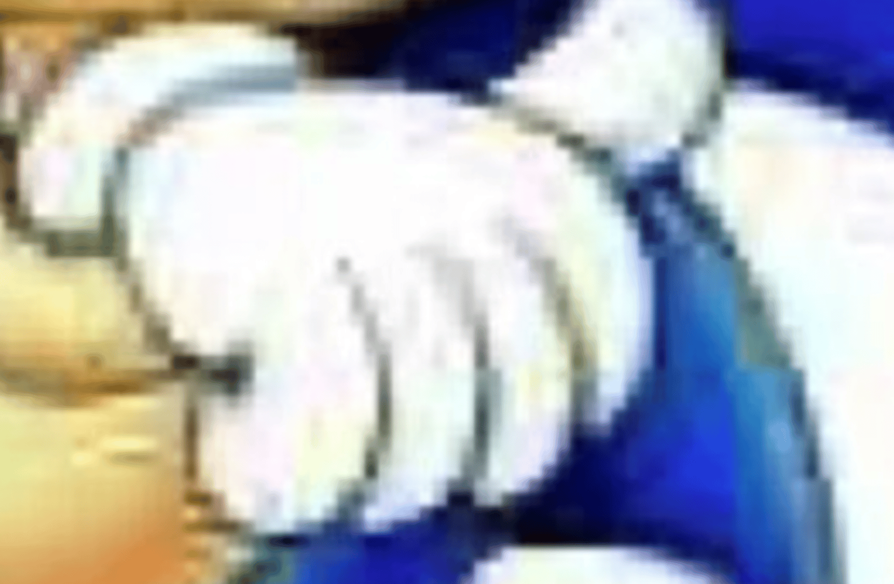 Sonic the hedgehog
