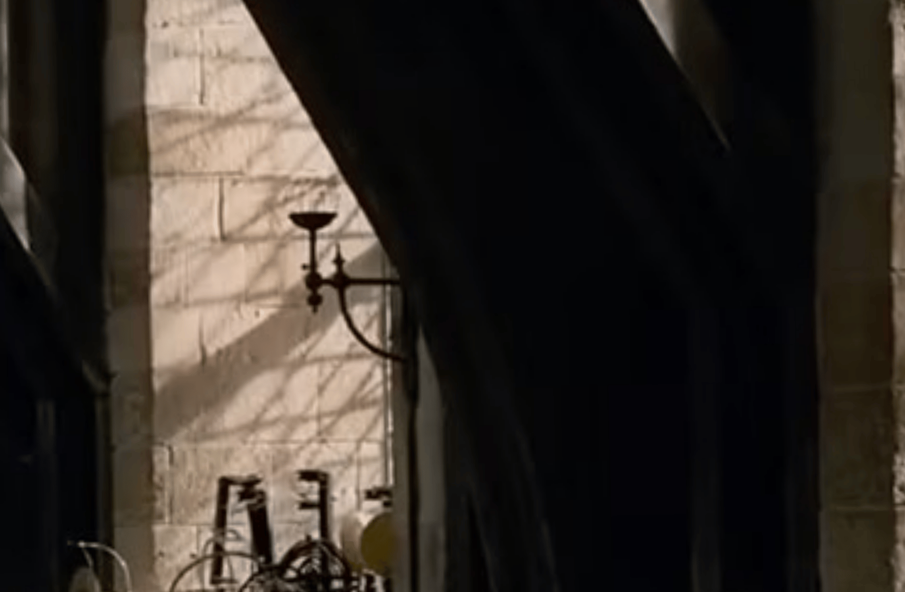 Theseus Scamander