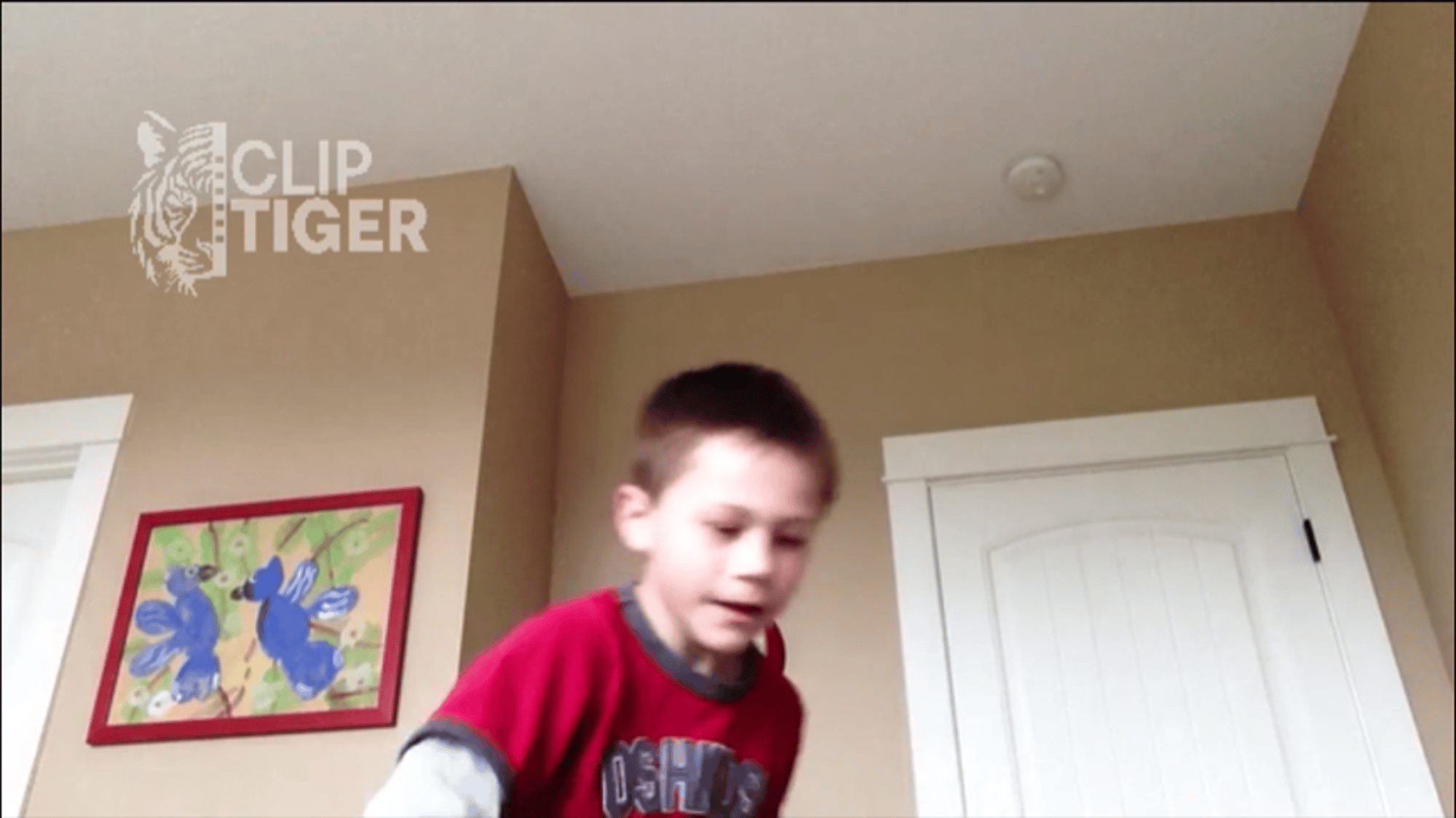 Boy