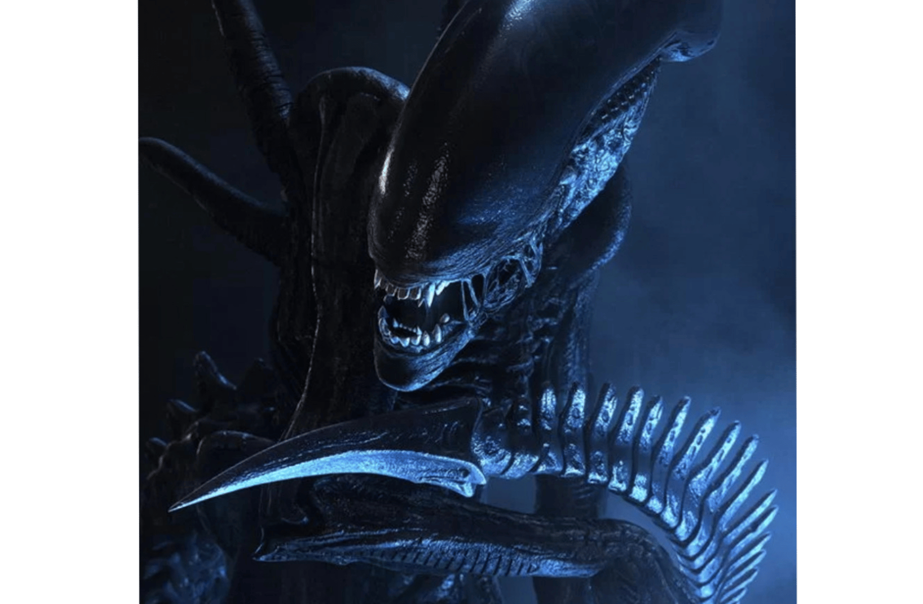 Xenomorph