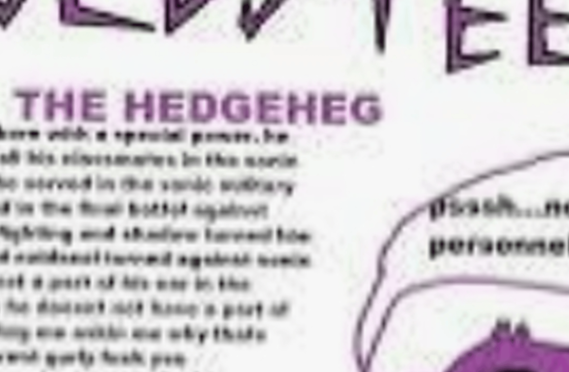 Coldsteel the hegehog