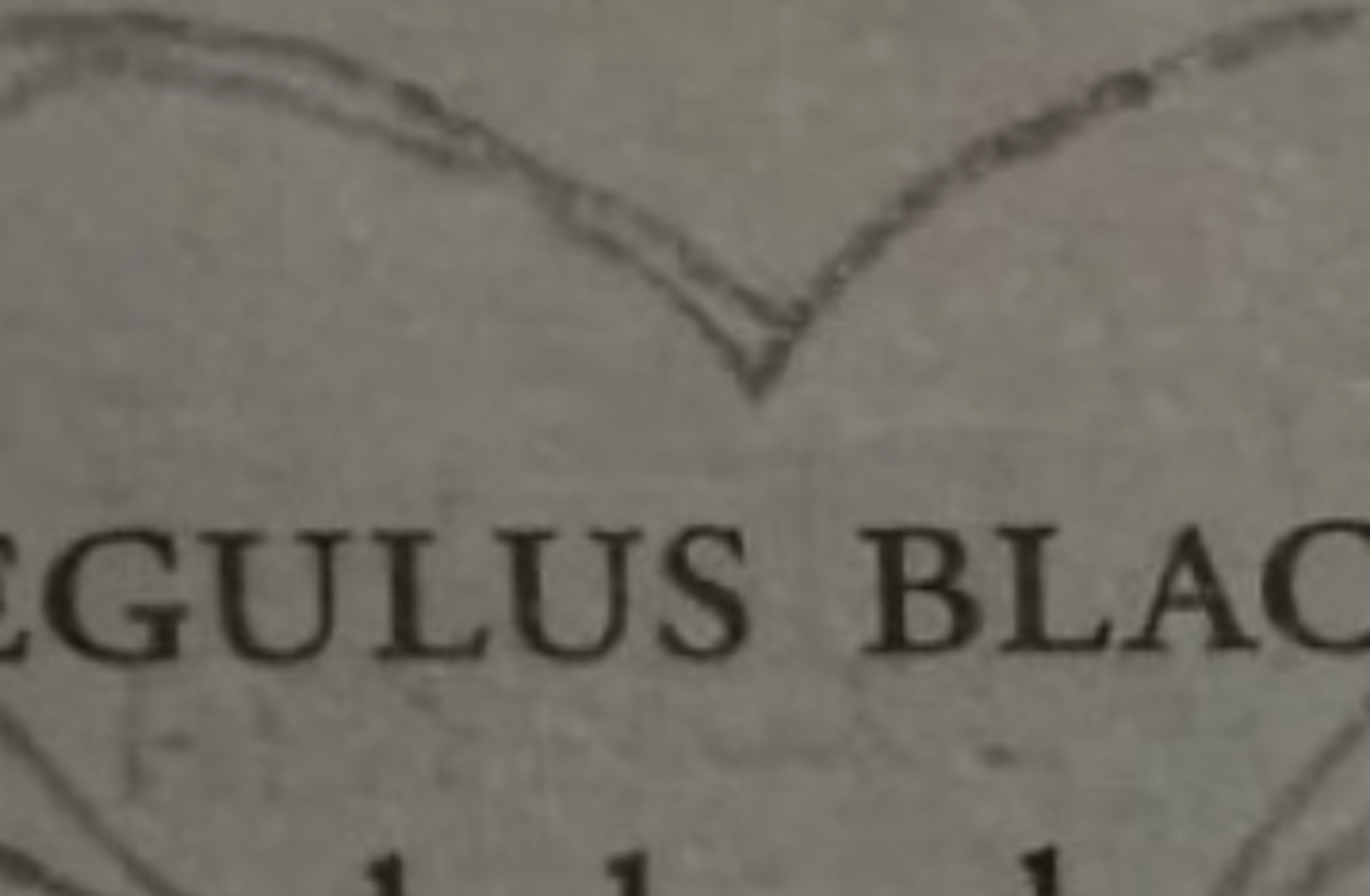Regulus Black