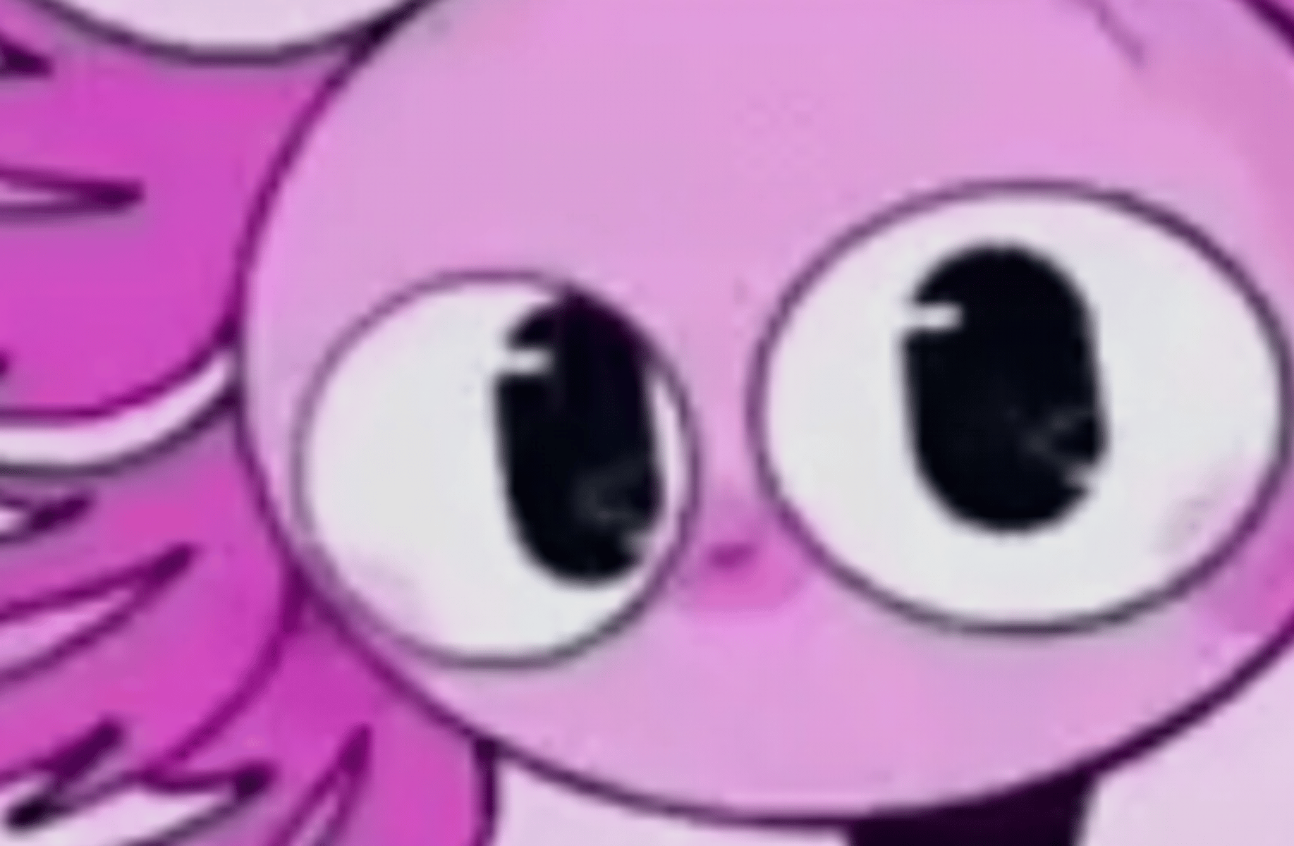 KinitoPET