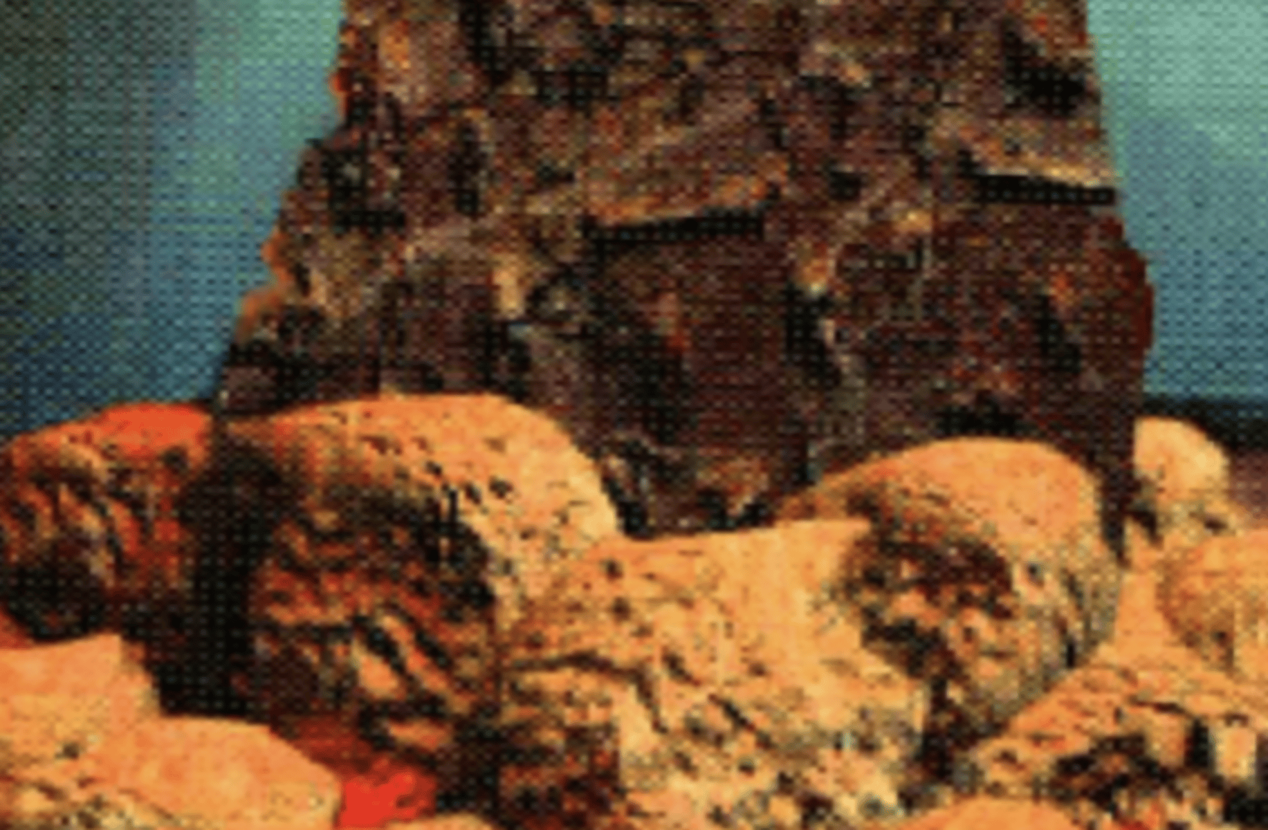 AM