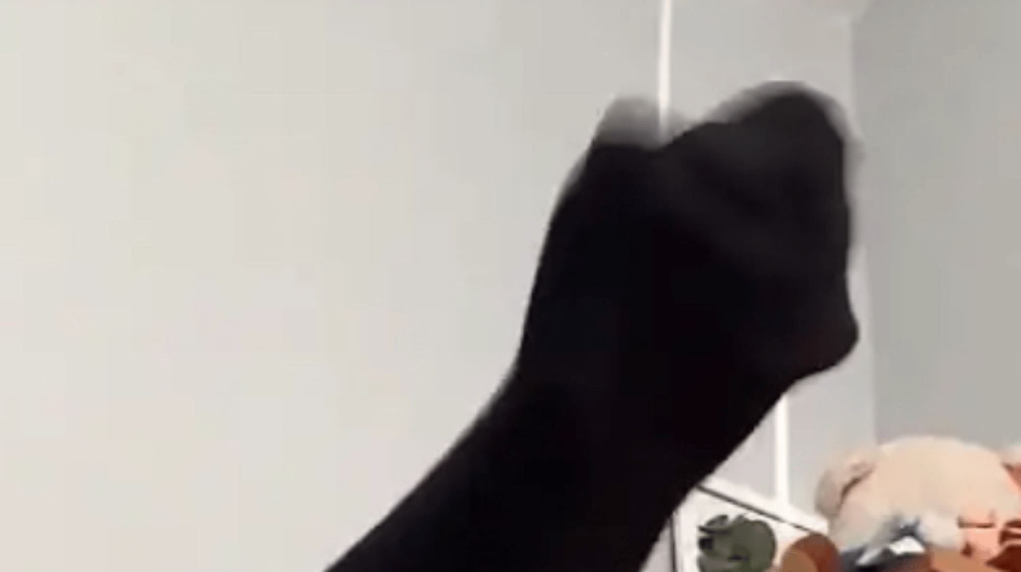 Oopoo