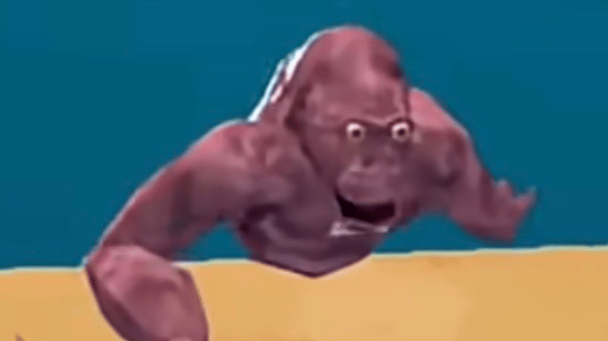 Baby gorilla