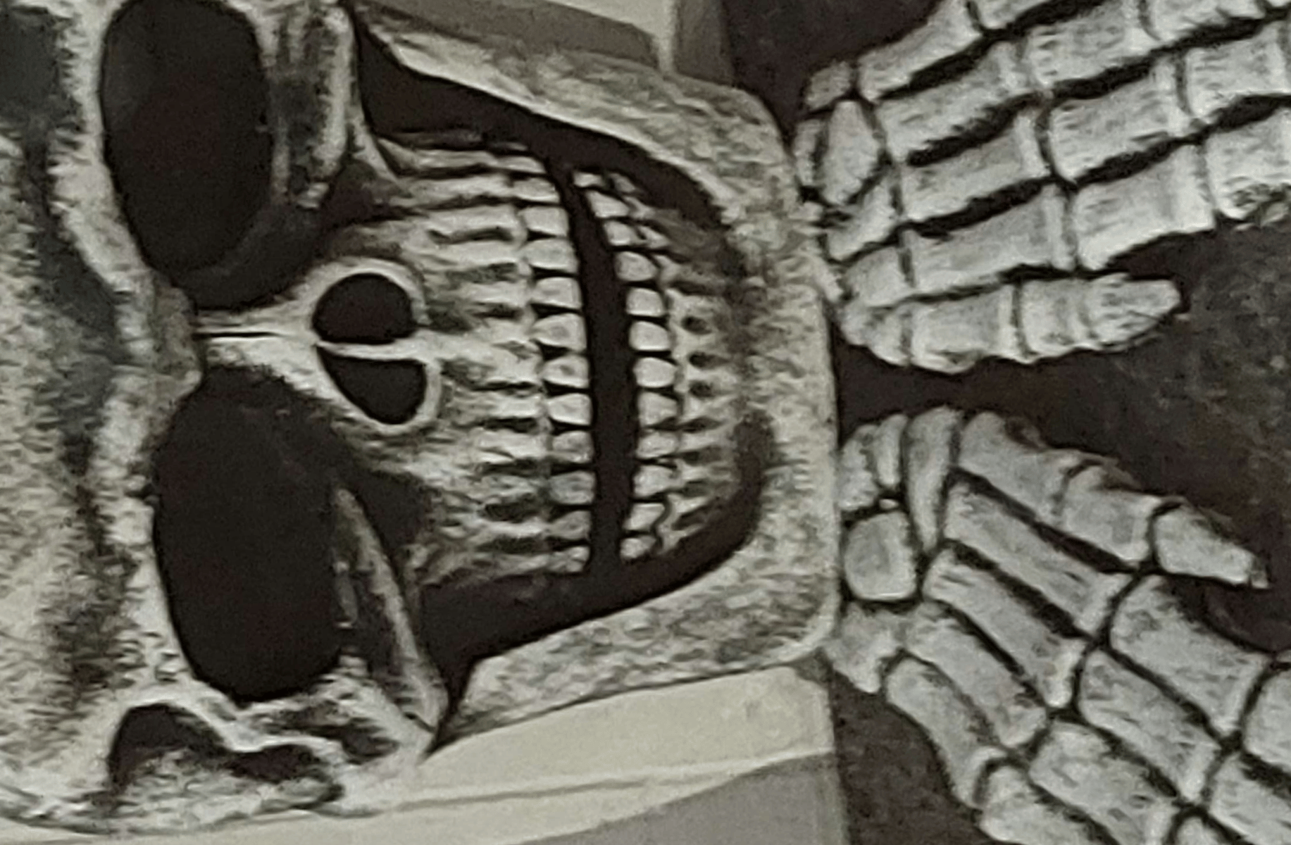 Funny skull