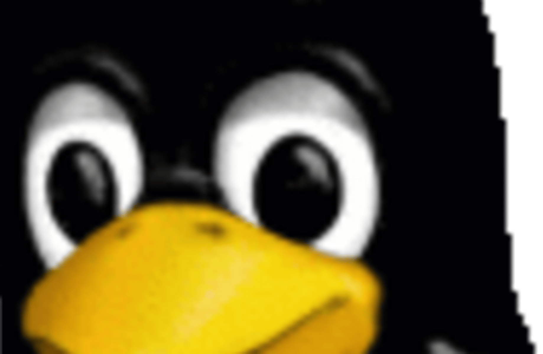 Linux penguin
