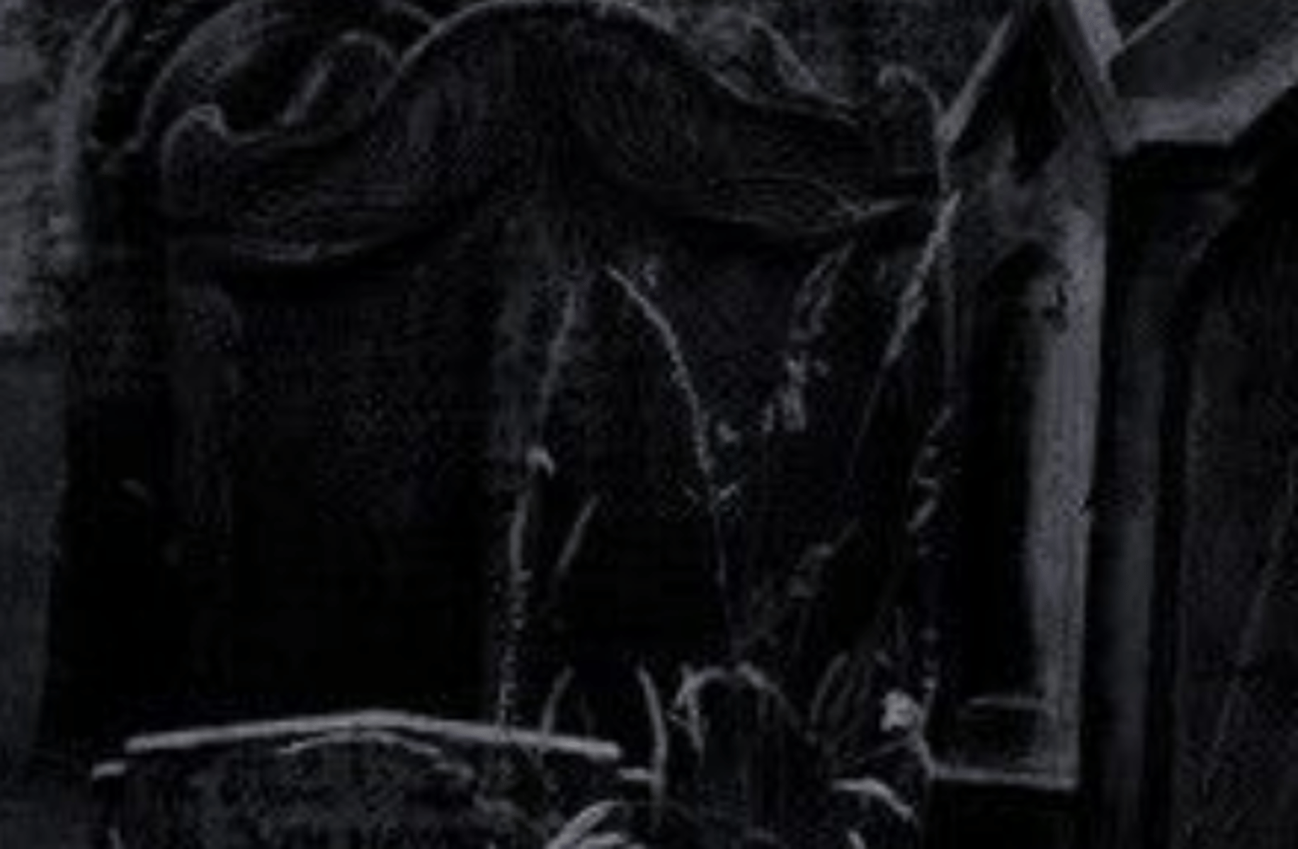 Professor Tom Riddle