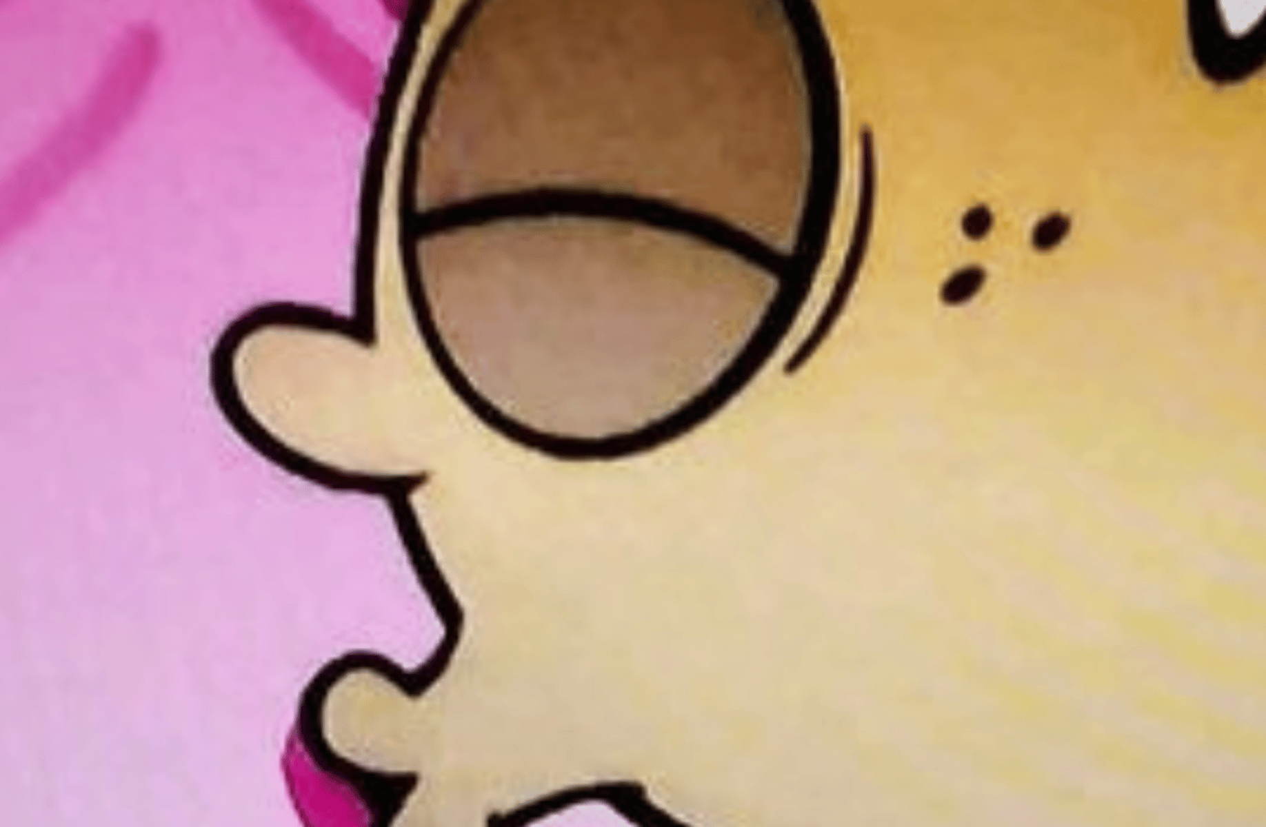 Joe Shmoe