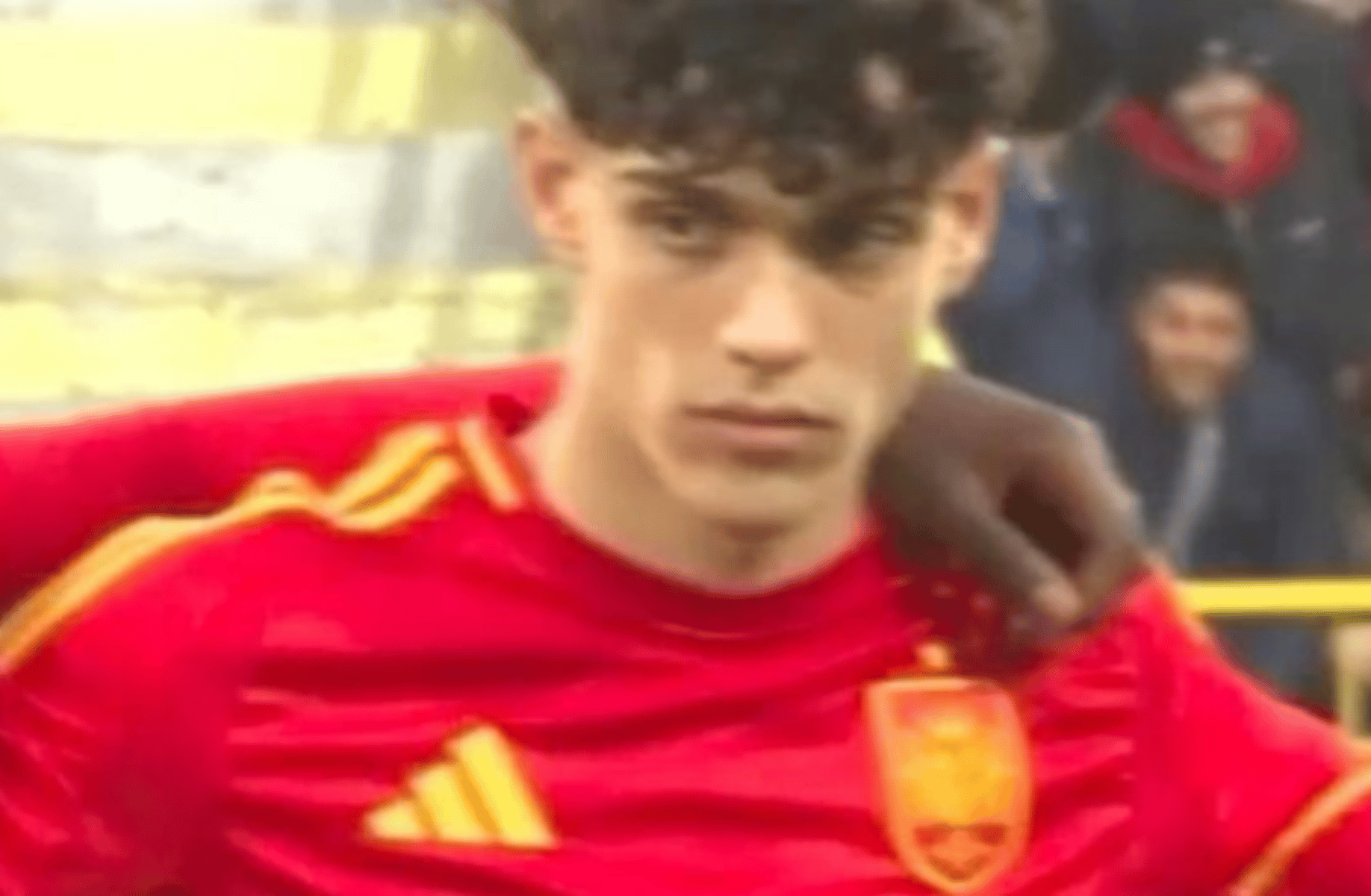 Hector Fort
