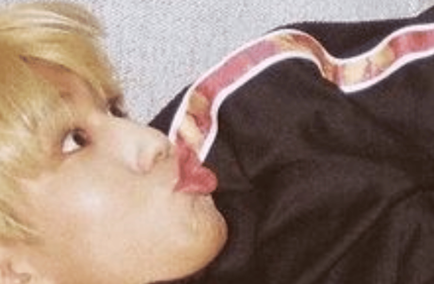 jisung