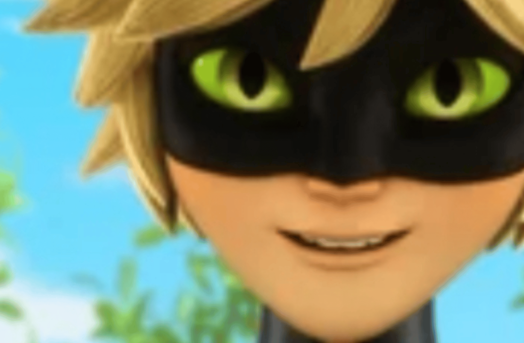 Cat Noir