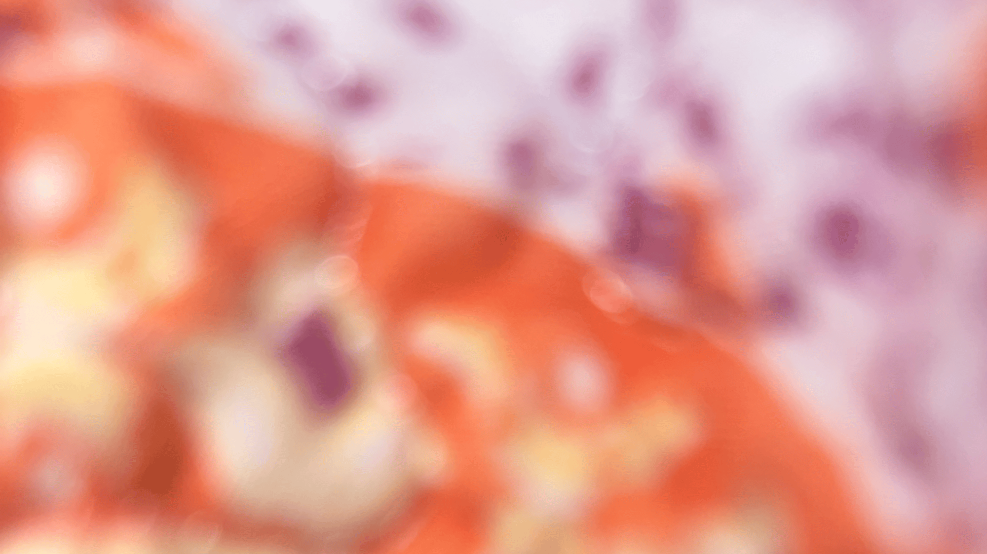 Vi