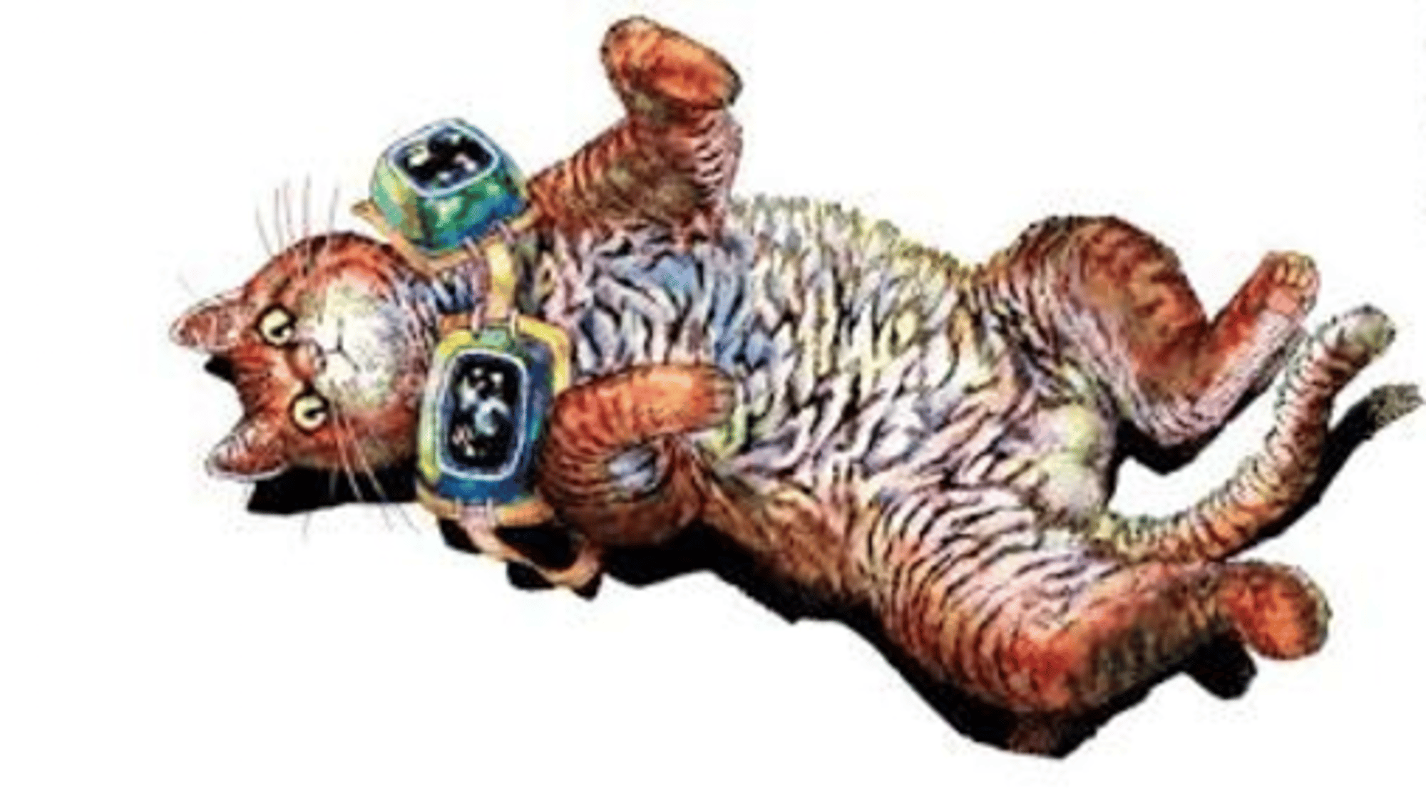Night of the Living Cat