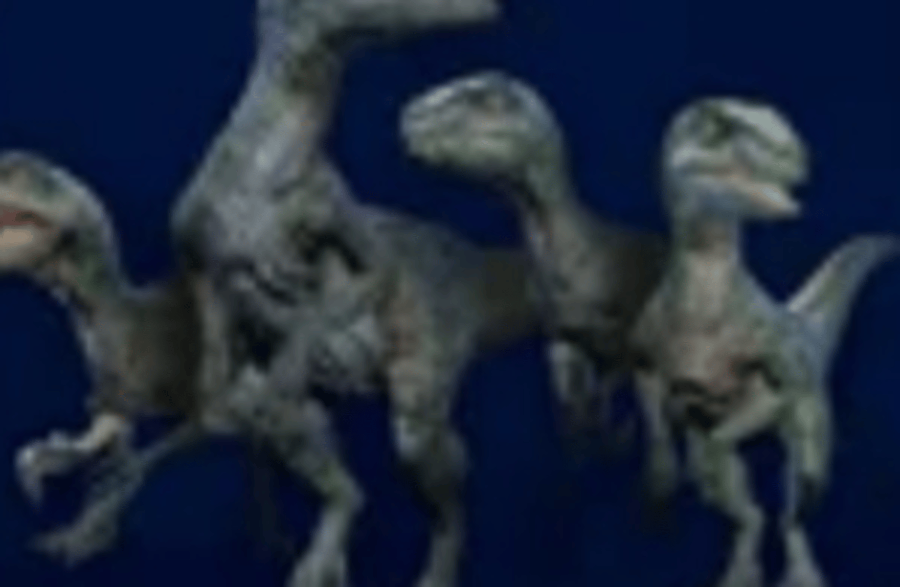 Velociraptor squad