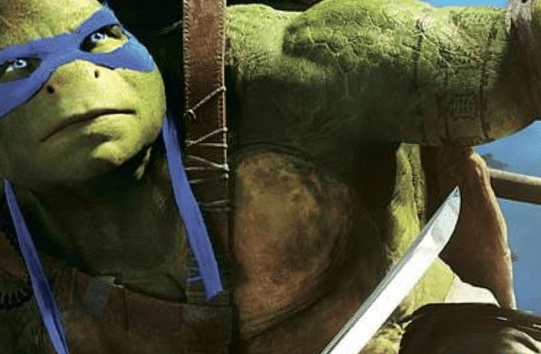 Leonardo