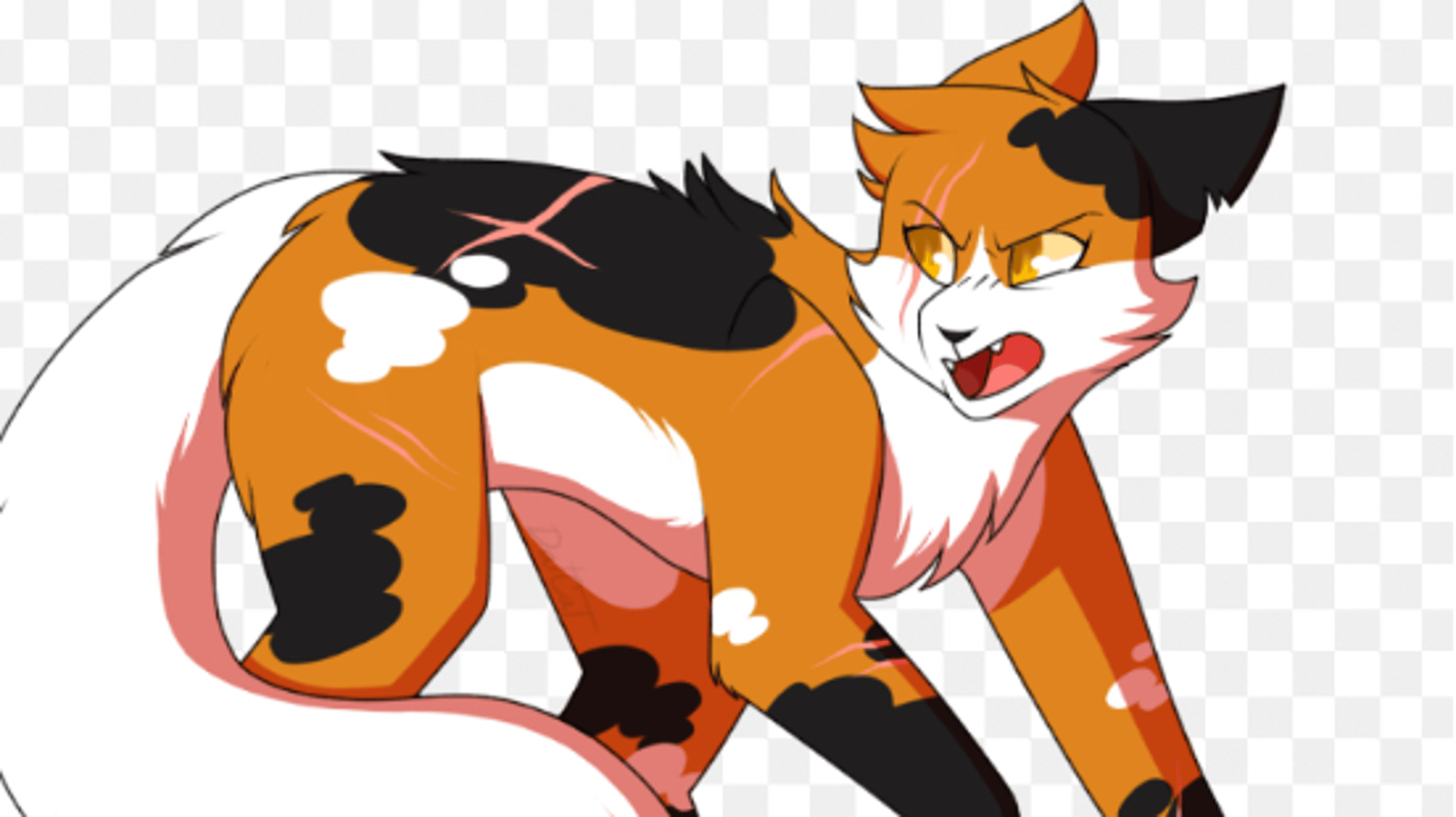 {Mapleshade}