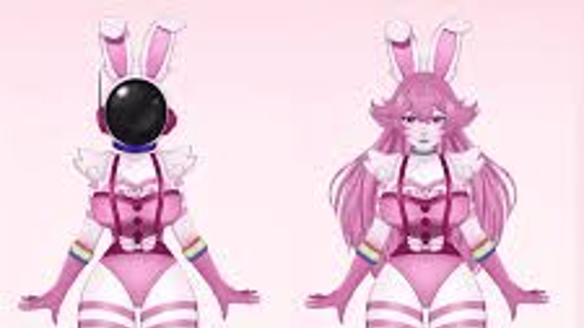 Mr. Bunny