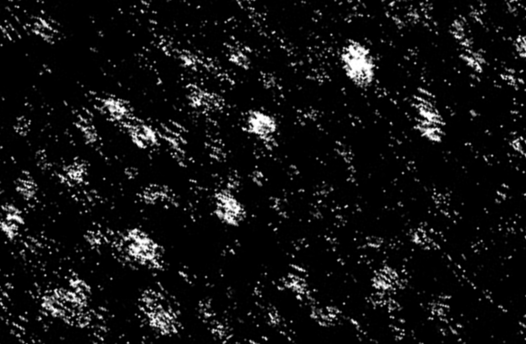 Fever Dream - Household