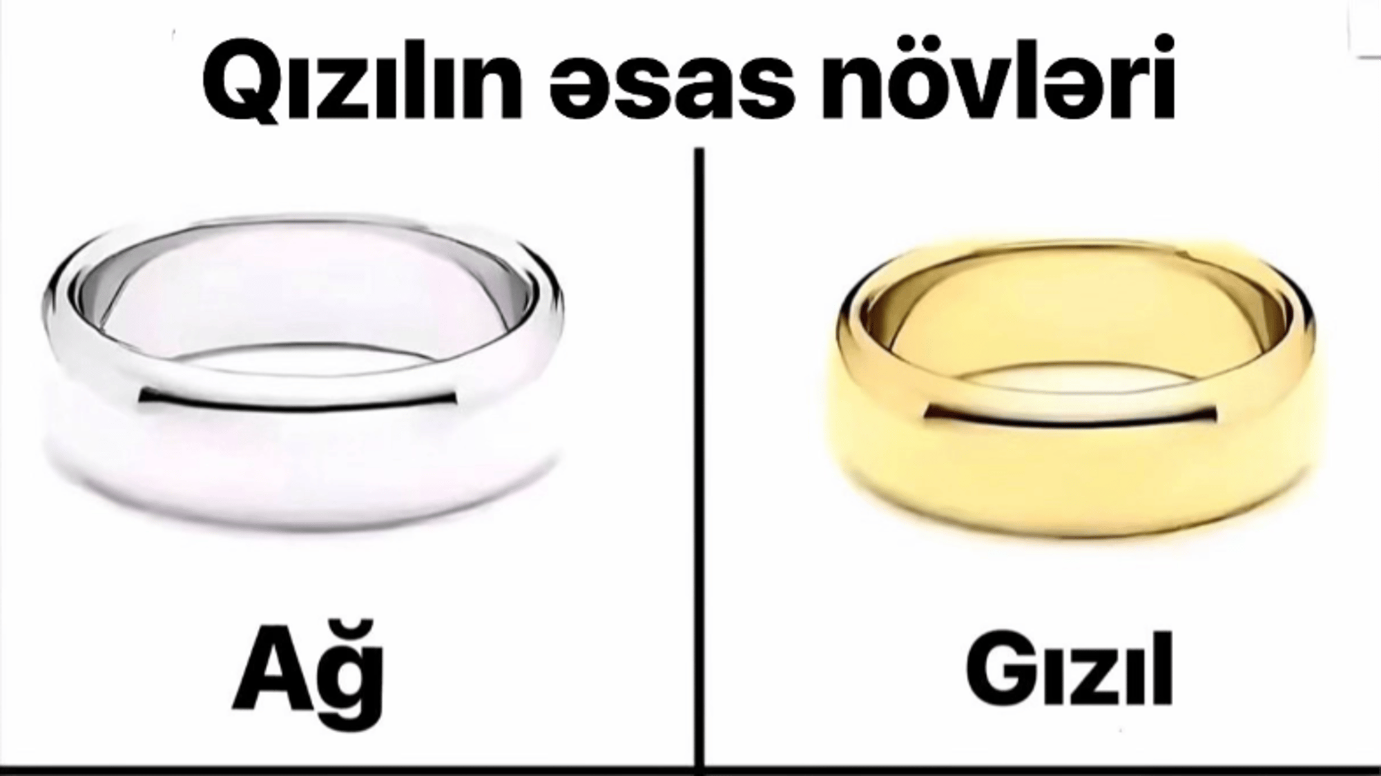 Tfggh6ddg