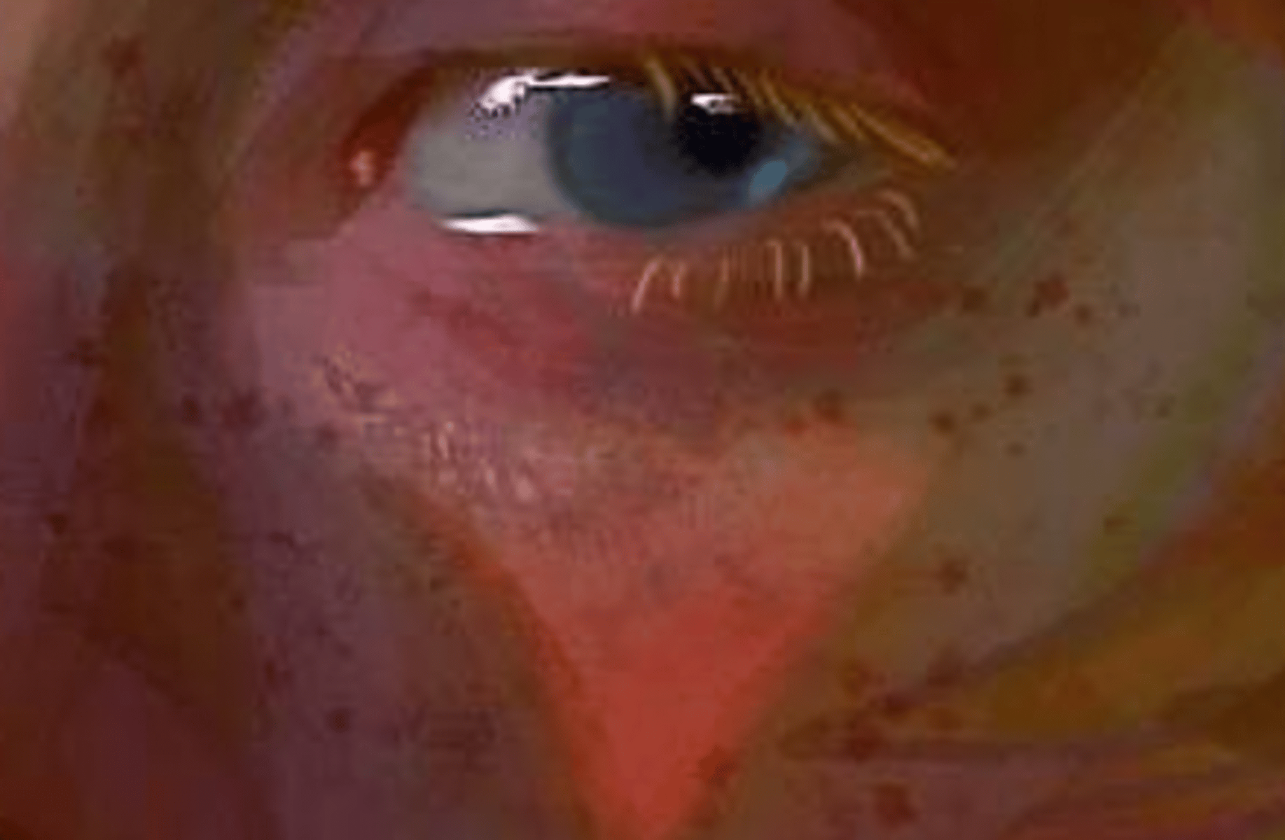 Ron Weasley.