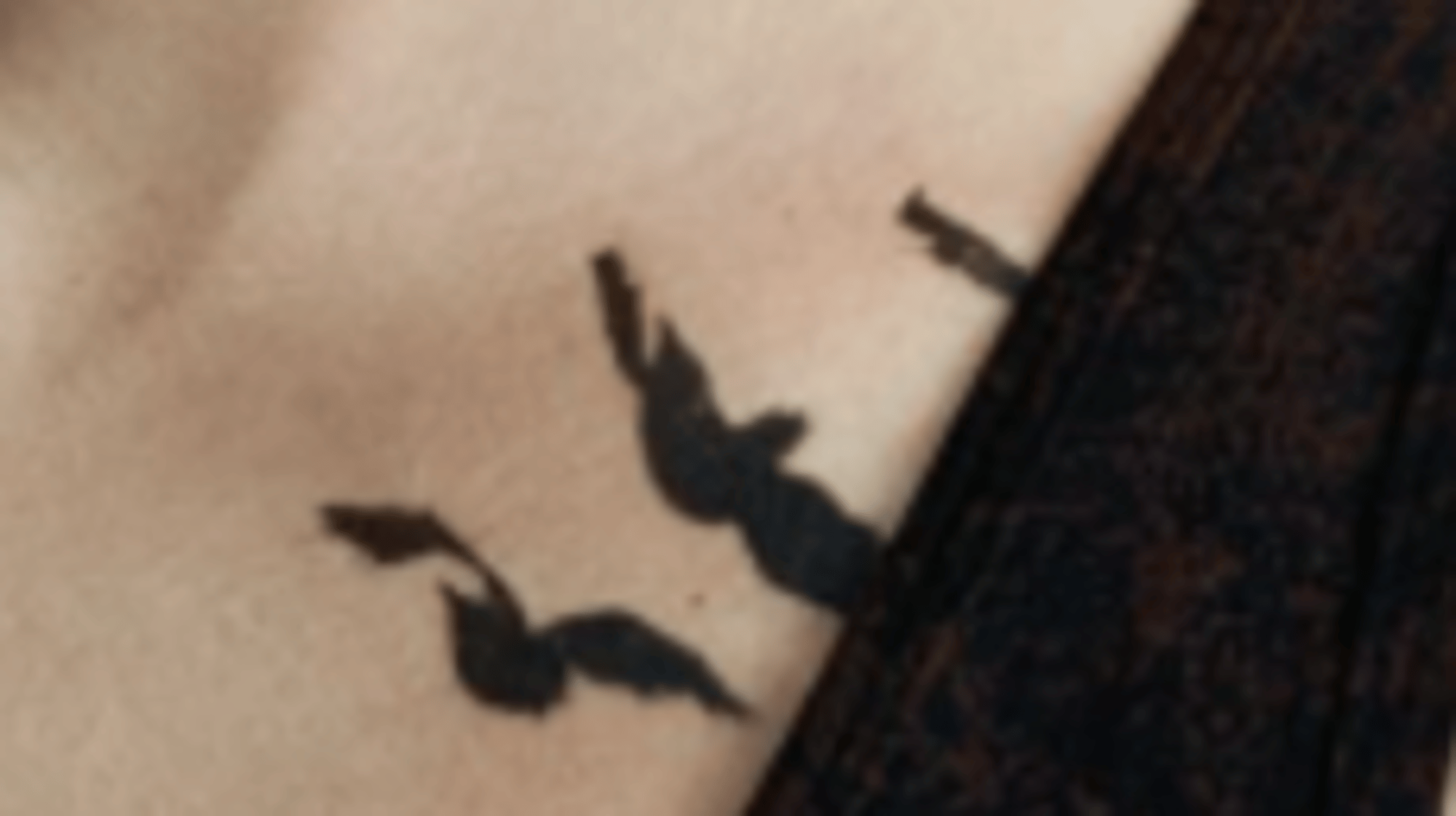 Tris Prior(Divergent)