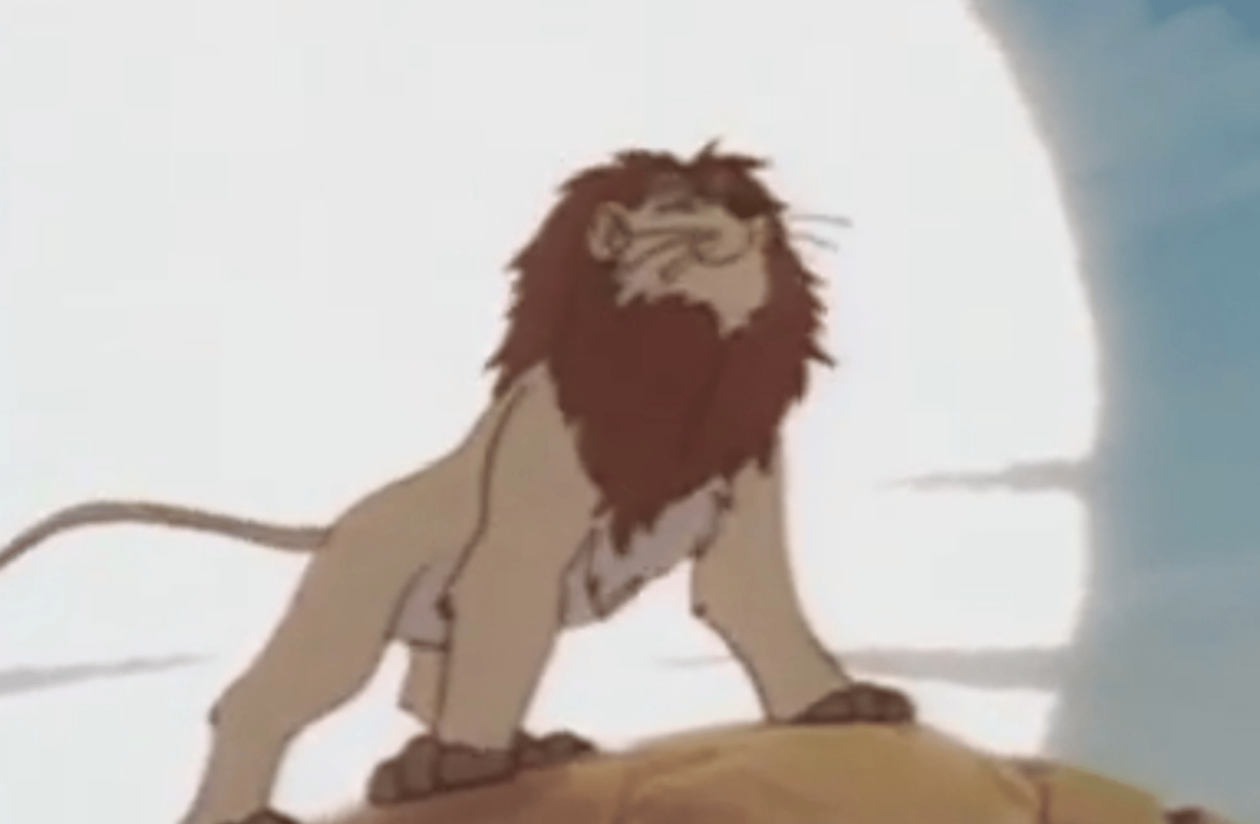 Older Tooey
