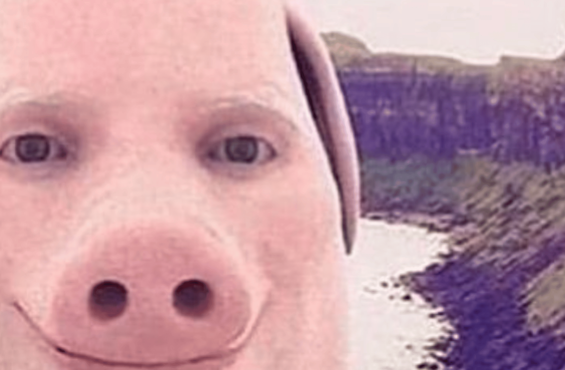 John pork