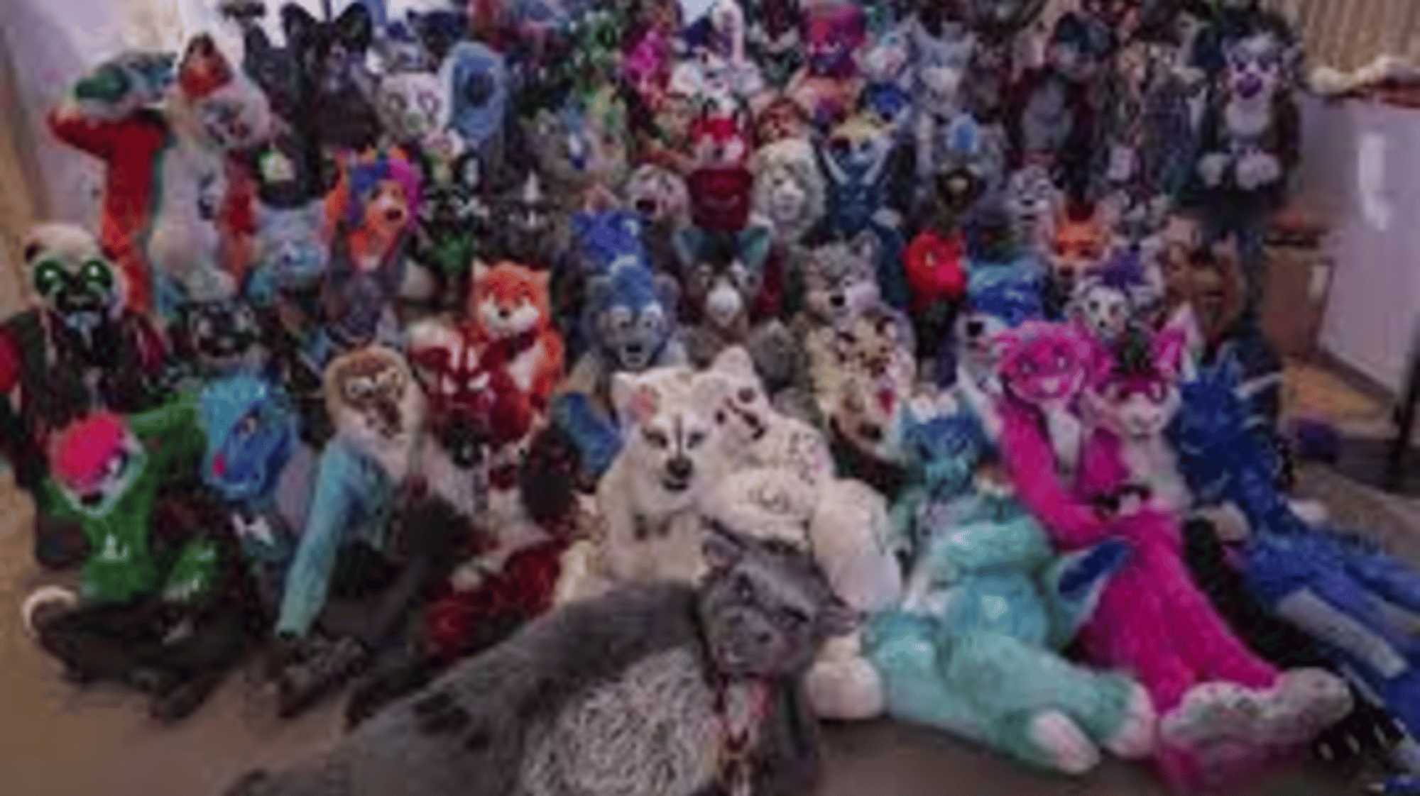 REAL LIFE FURRY
