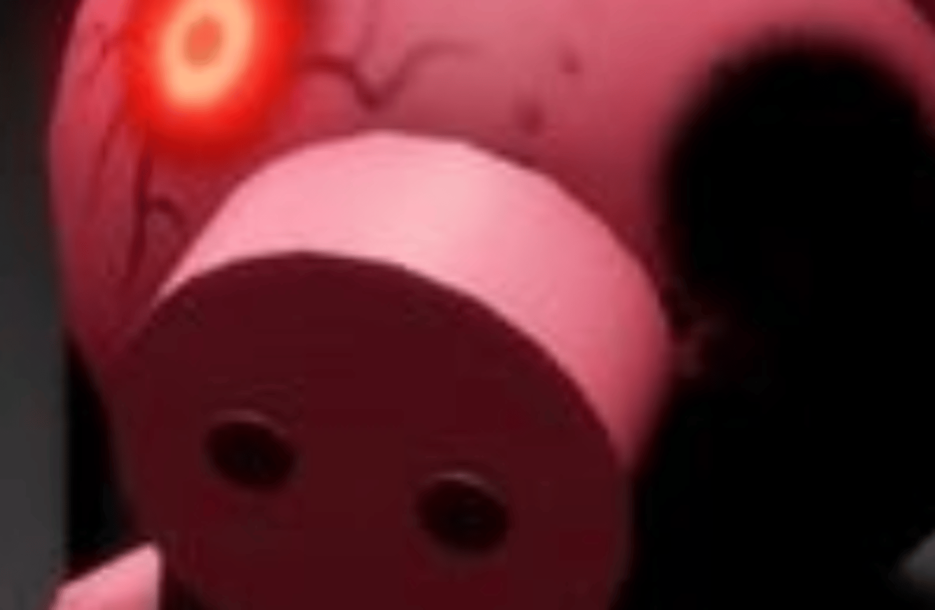 Penny(piggy roblox)