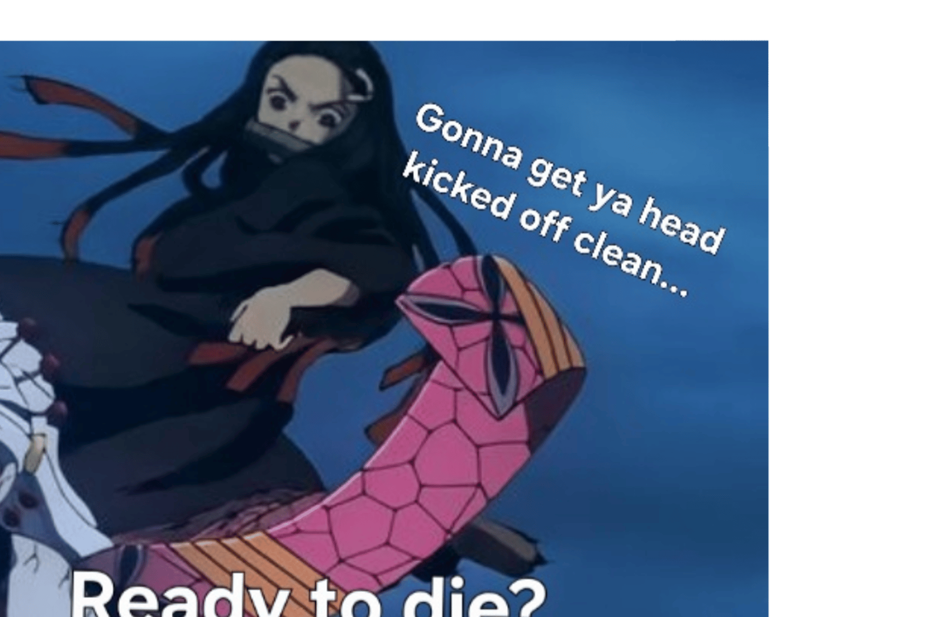 Nezuko VS. Daki
