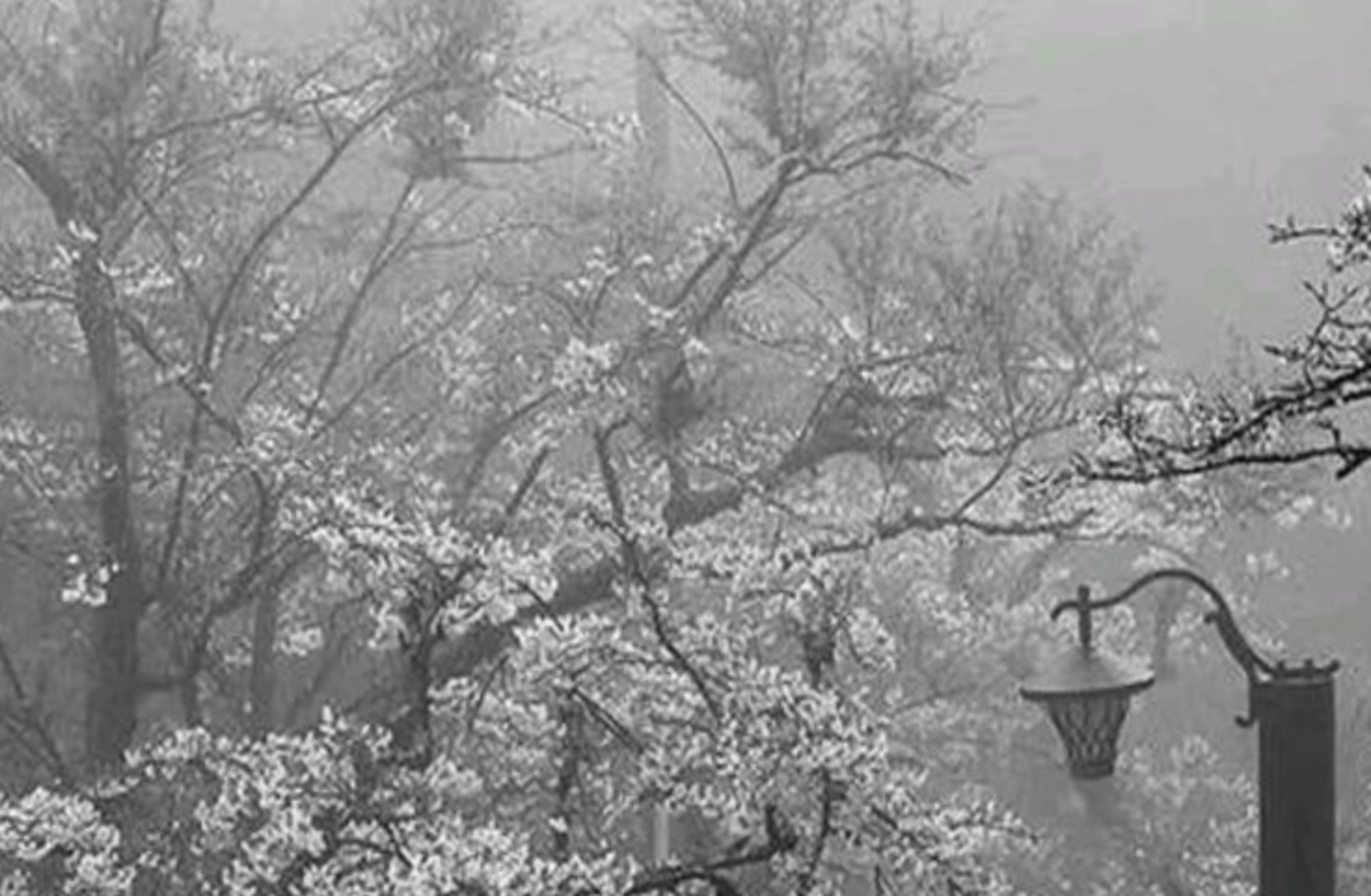 Lee heeseung