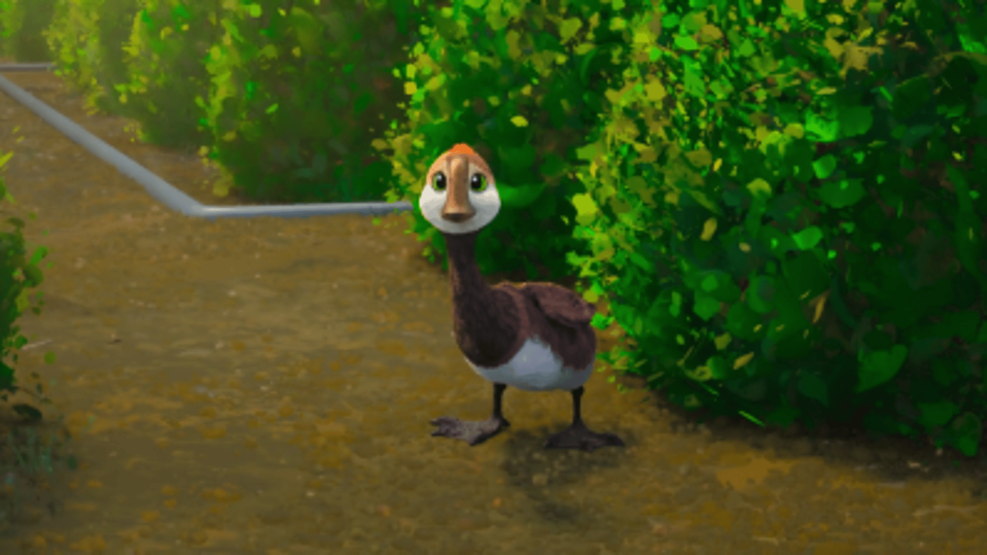 Brightbill