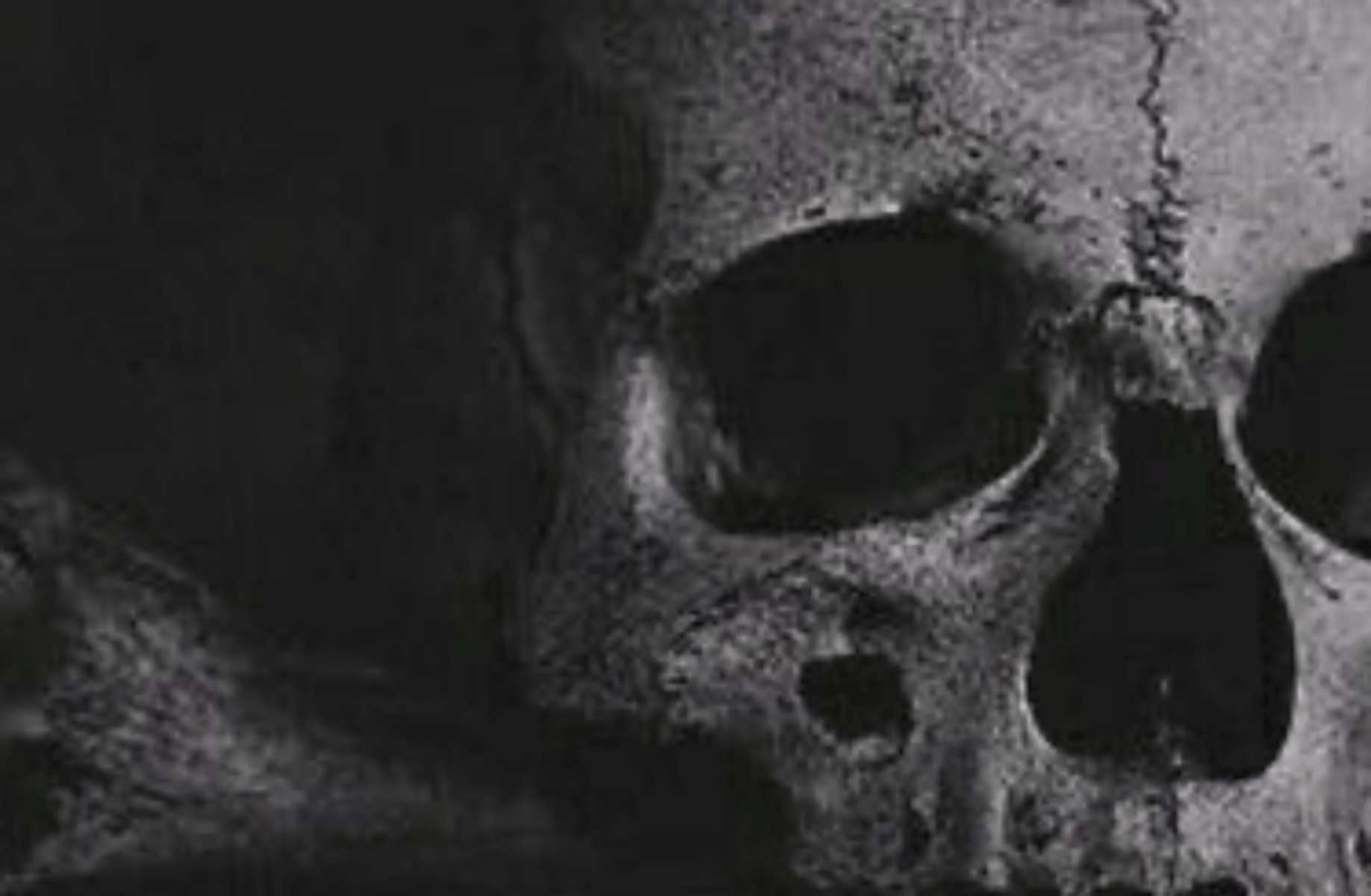 The dark urge (Durge)
