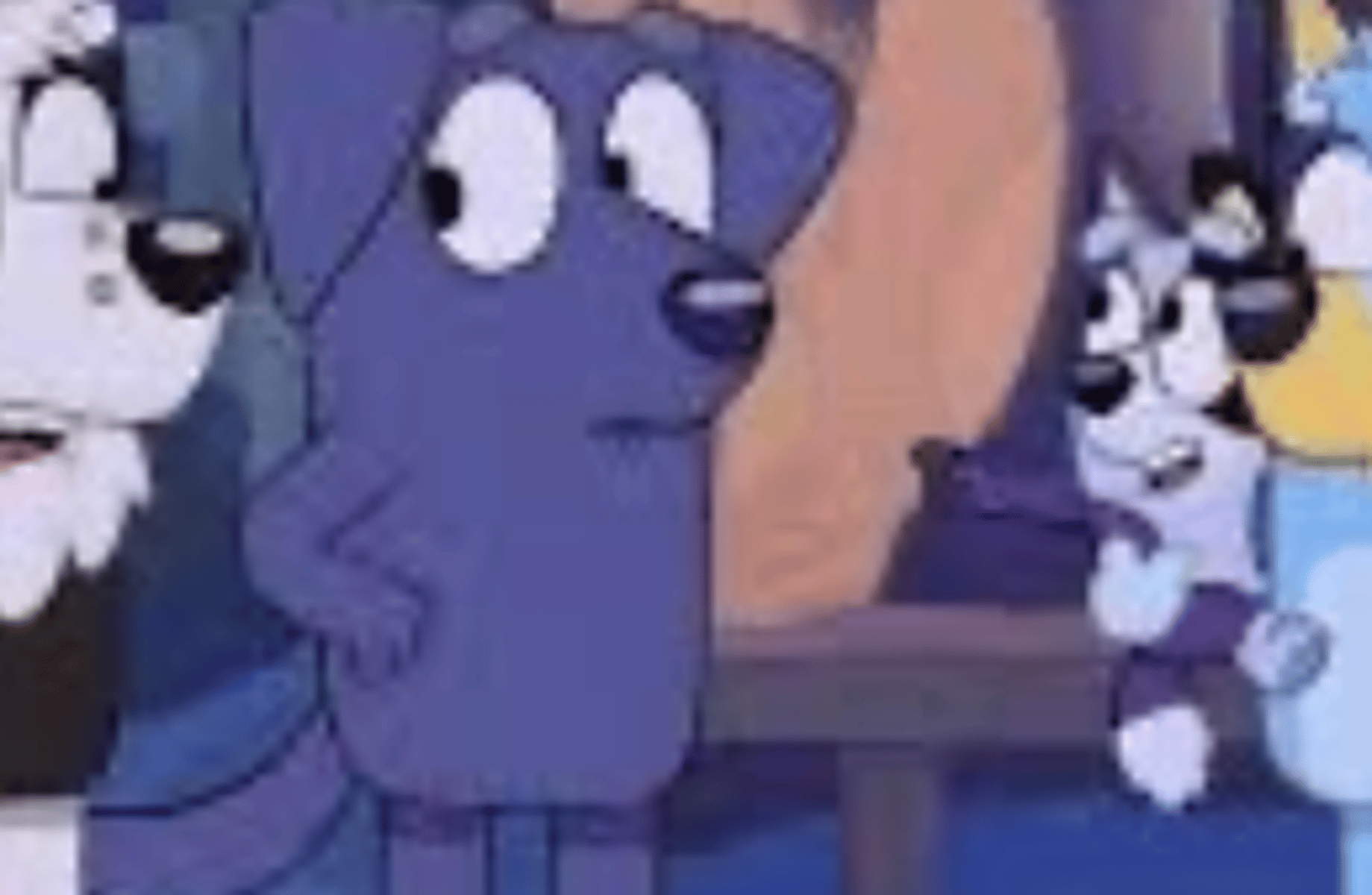 Bluey's future child