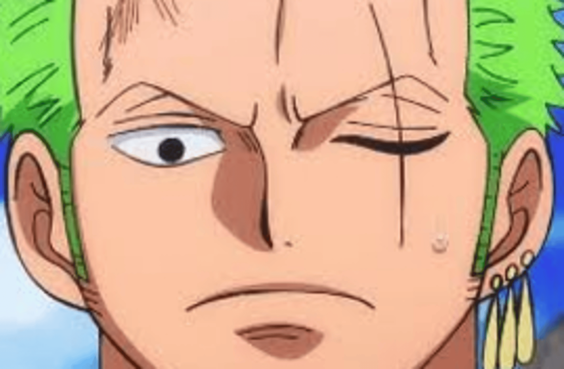 Roronoa Zoro