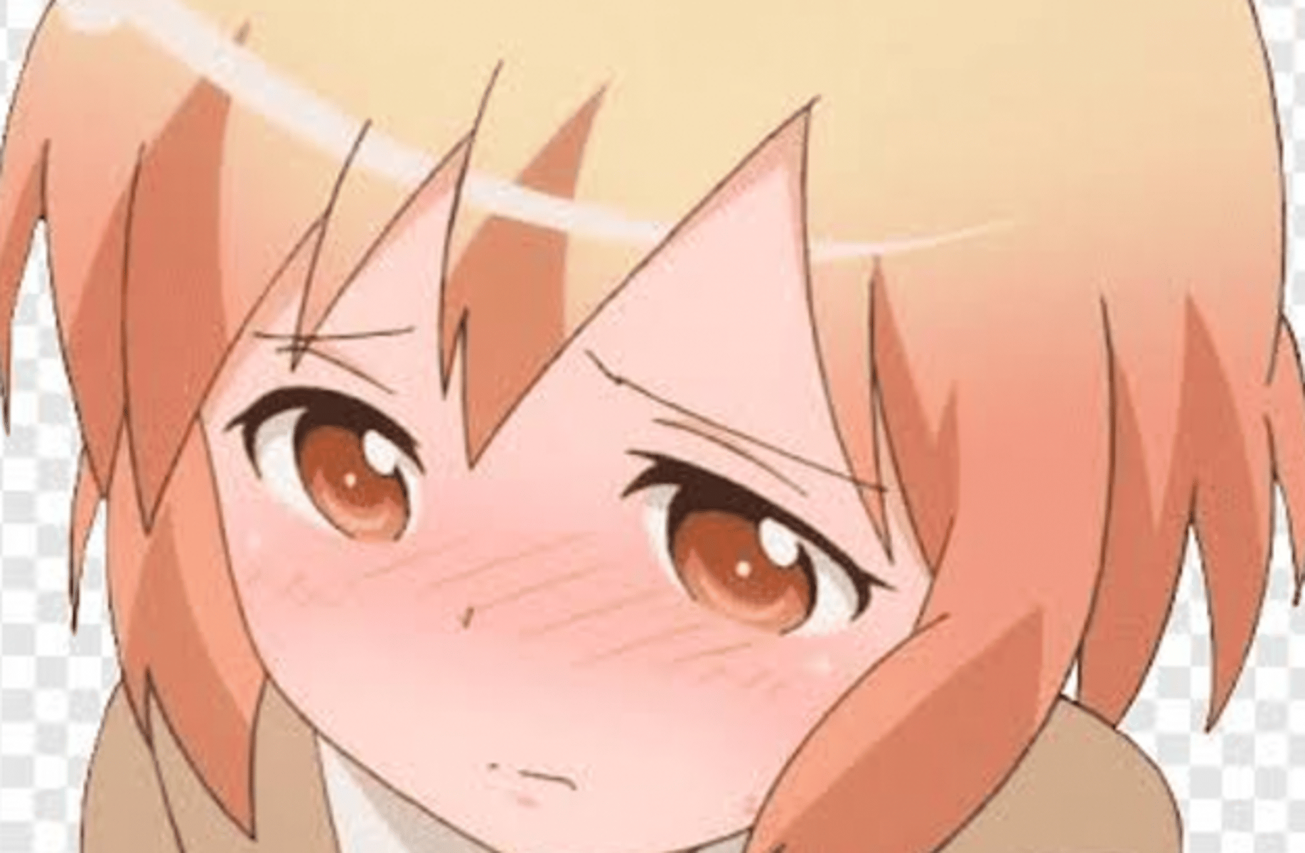 Haruka Kotoura