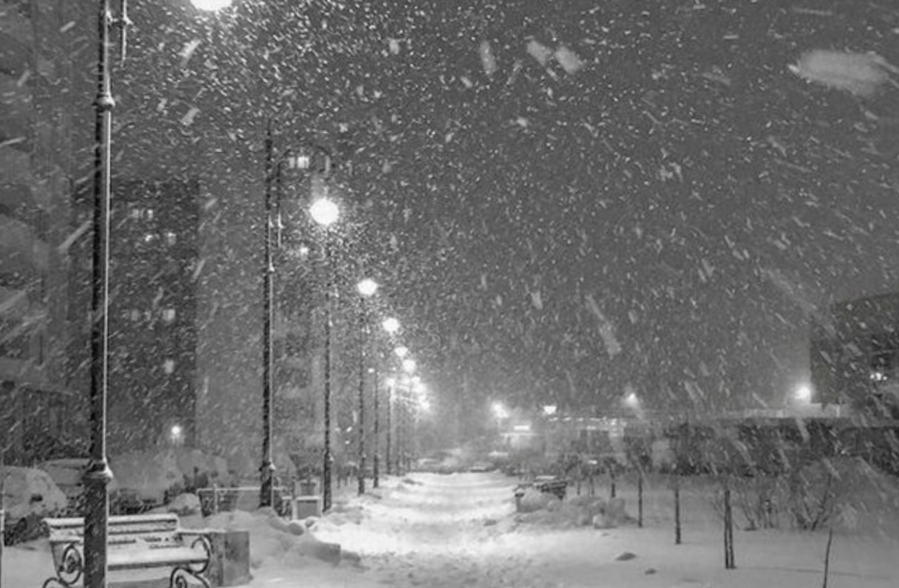 Zander ~ Long Lost Lover