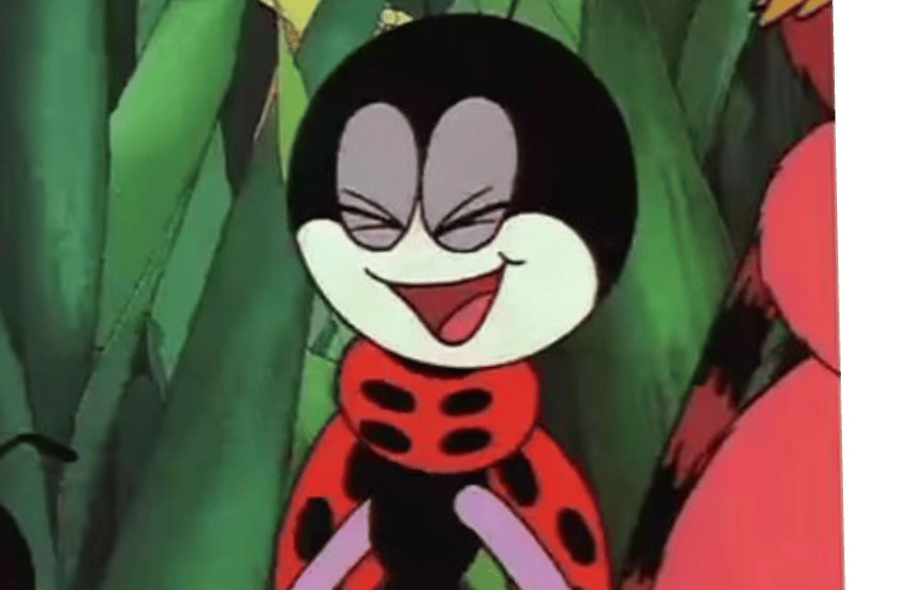 Ferdy