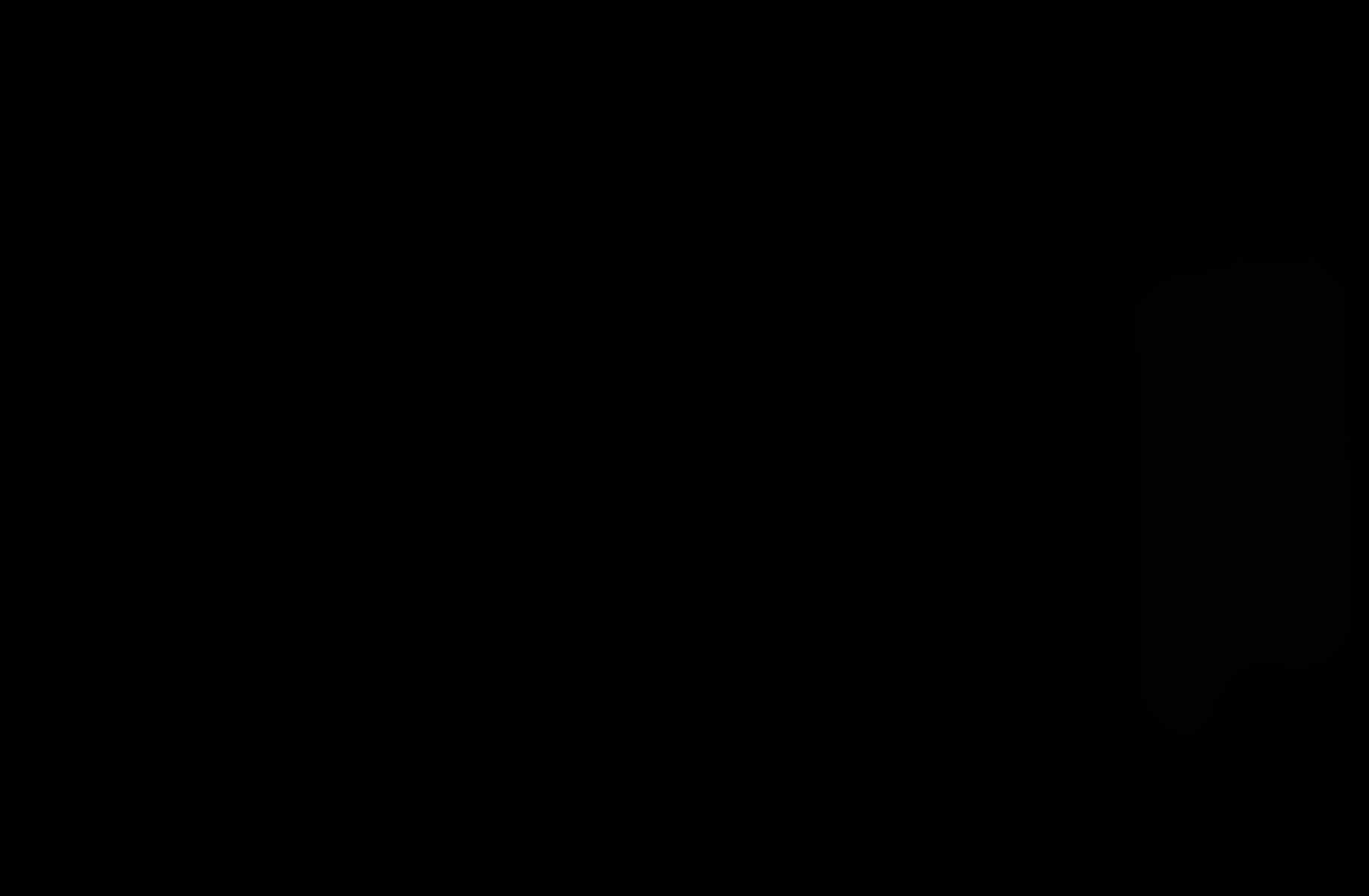 Eleven