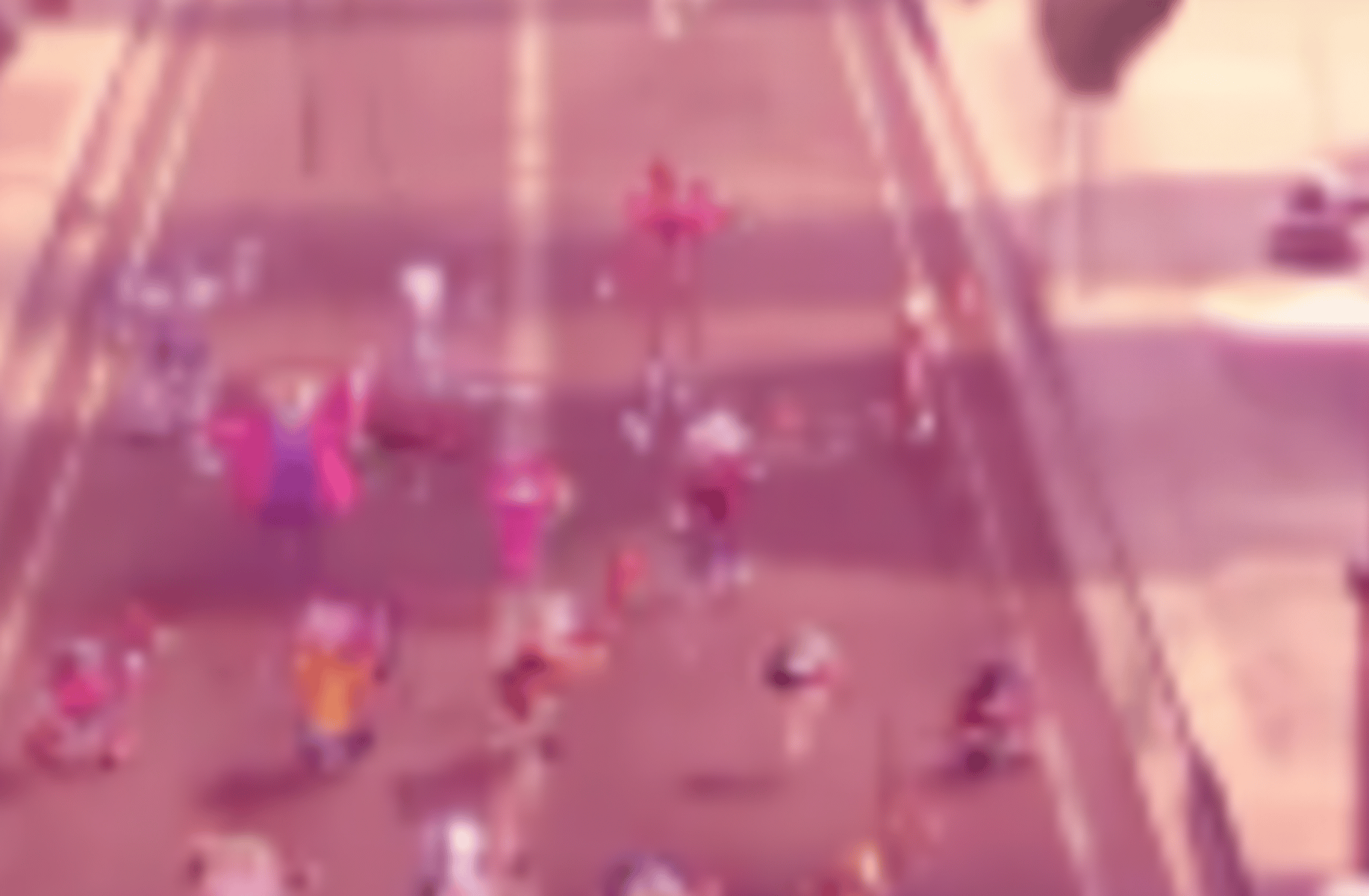 Animation City